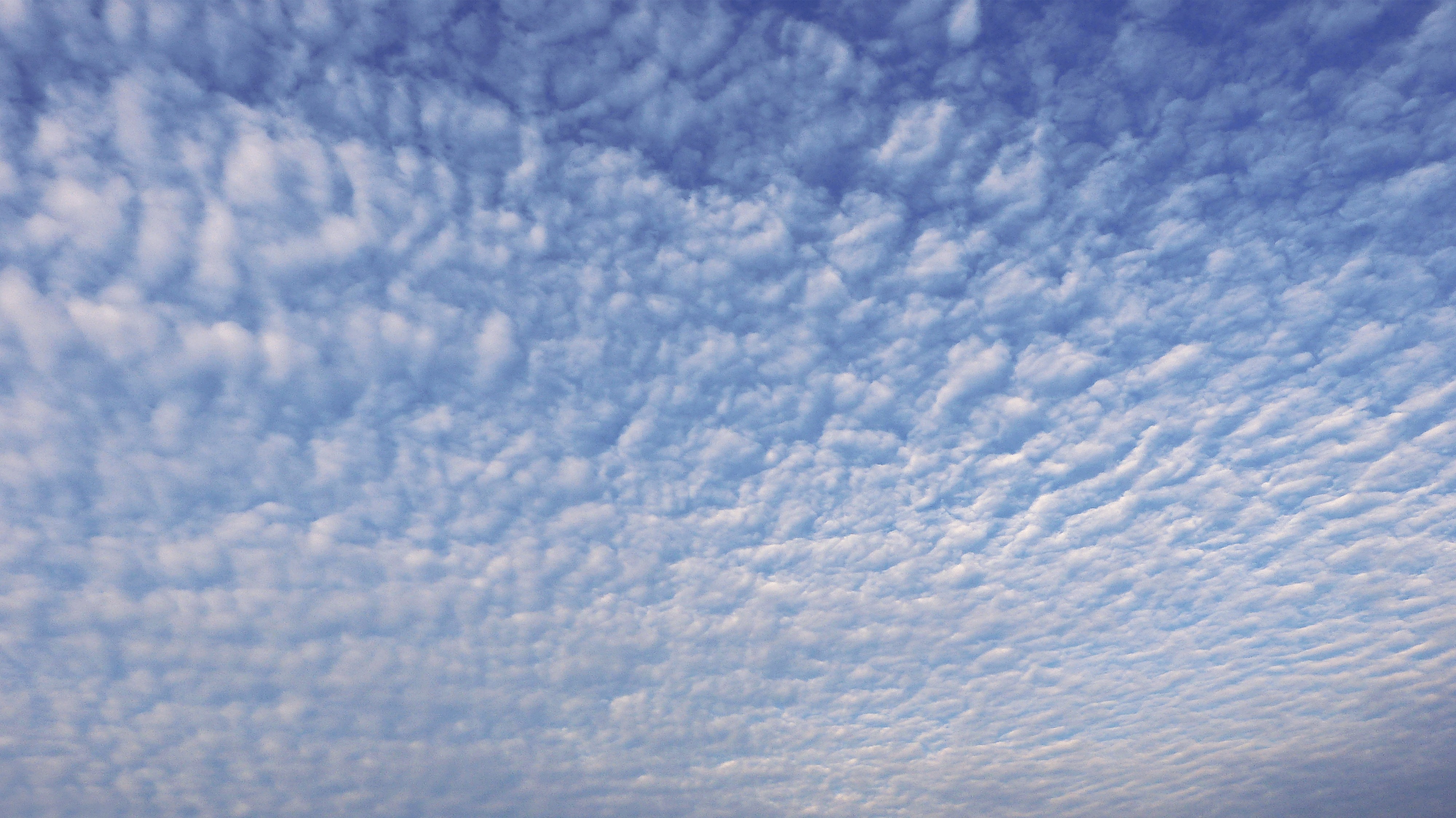 Погода голубое. Перистые облака и Кучевые облака. Перисто Кучевые волнистые облака. Мелкие облака. Голубое небо перистые облака.