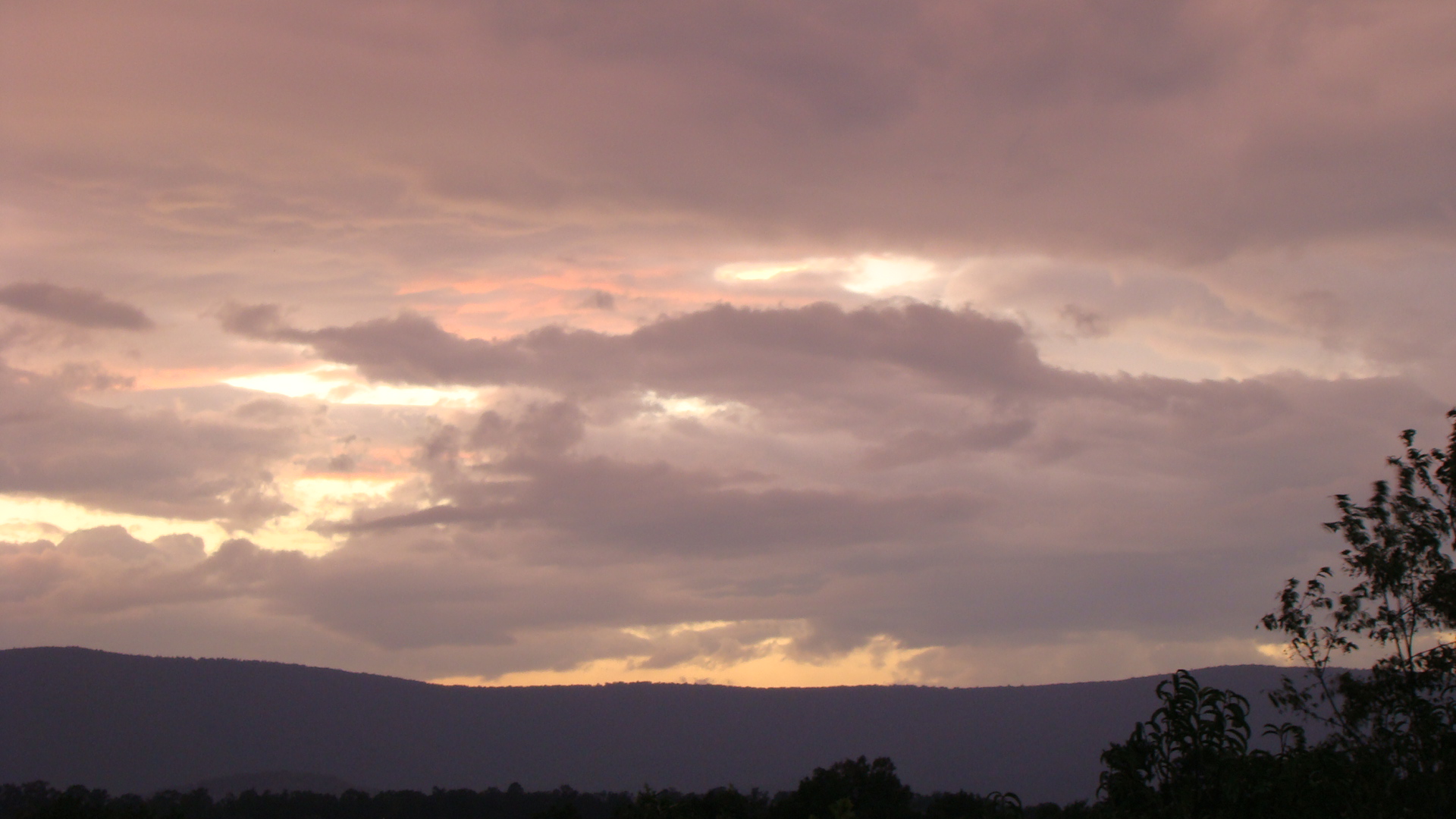 Cloudy Sunset in the Shenandoah Valley | Shenandoah Valley Flowers