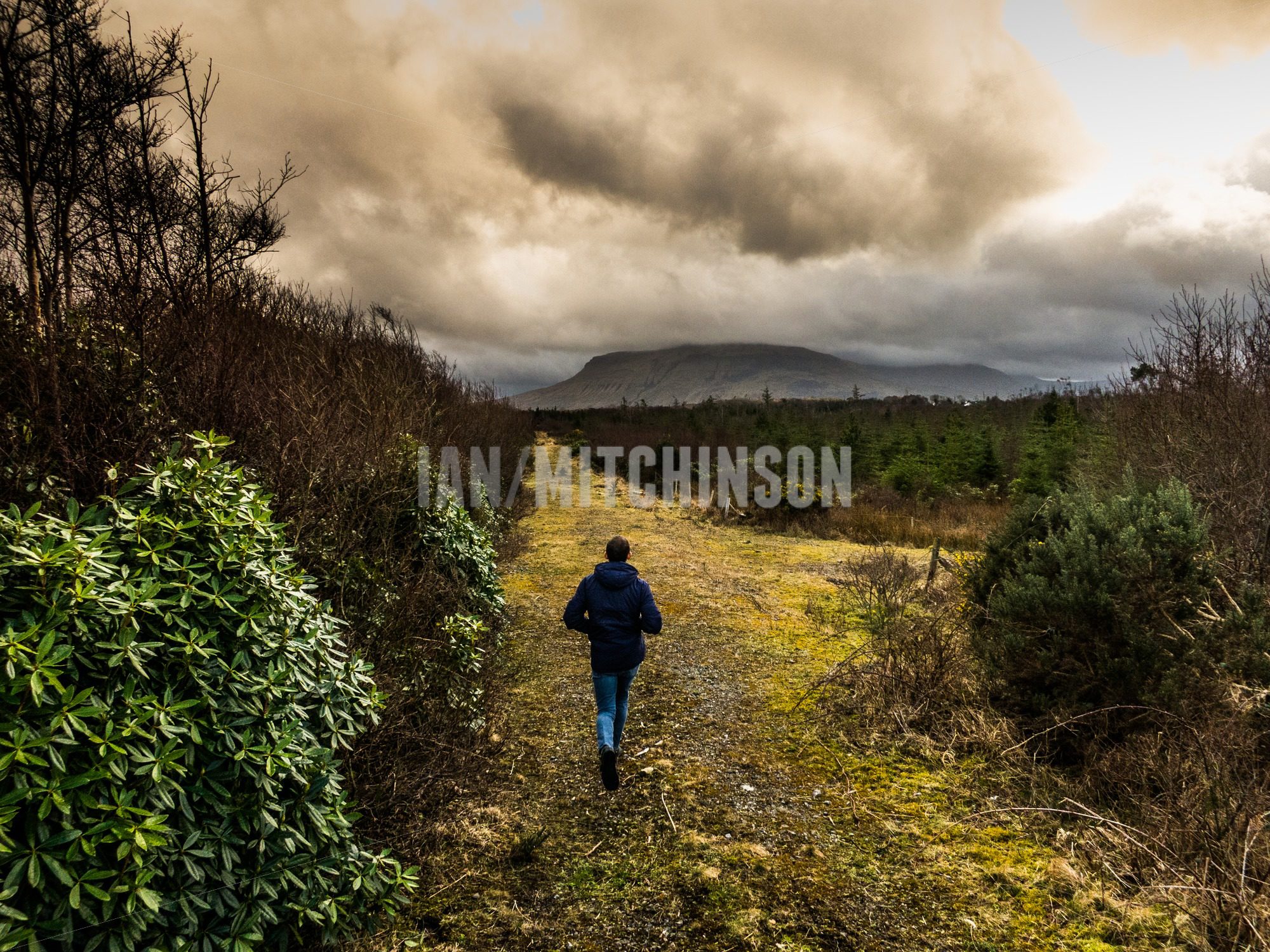 A man walks on a rural grass track that leads to Tievebaun mountain ...