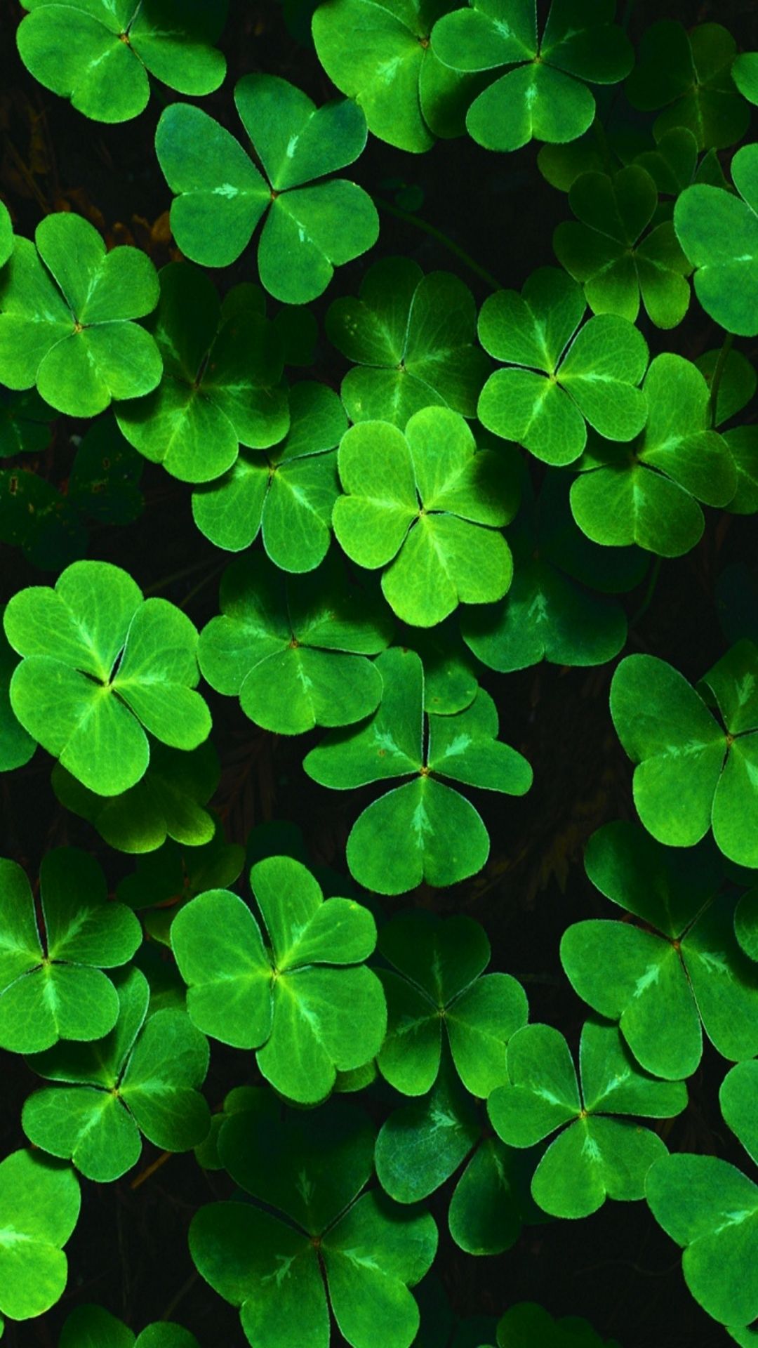 Cellphone Background / Wallpaper for St. PATRICK'S DAY. ☘ | Irish ...