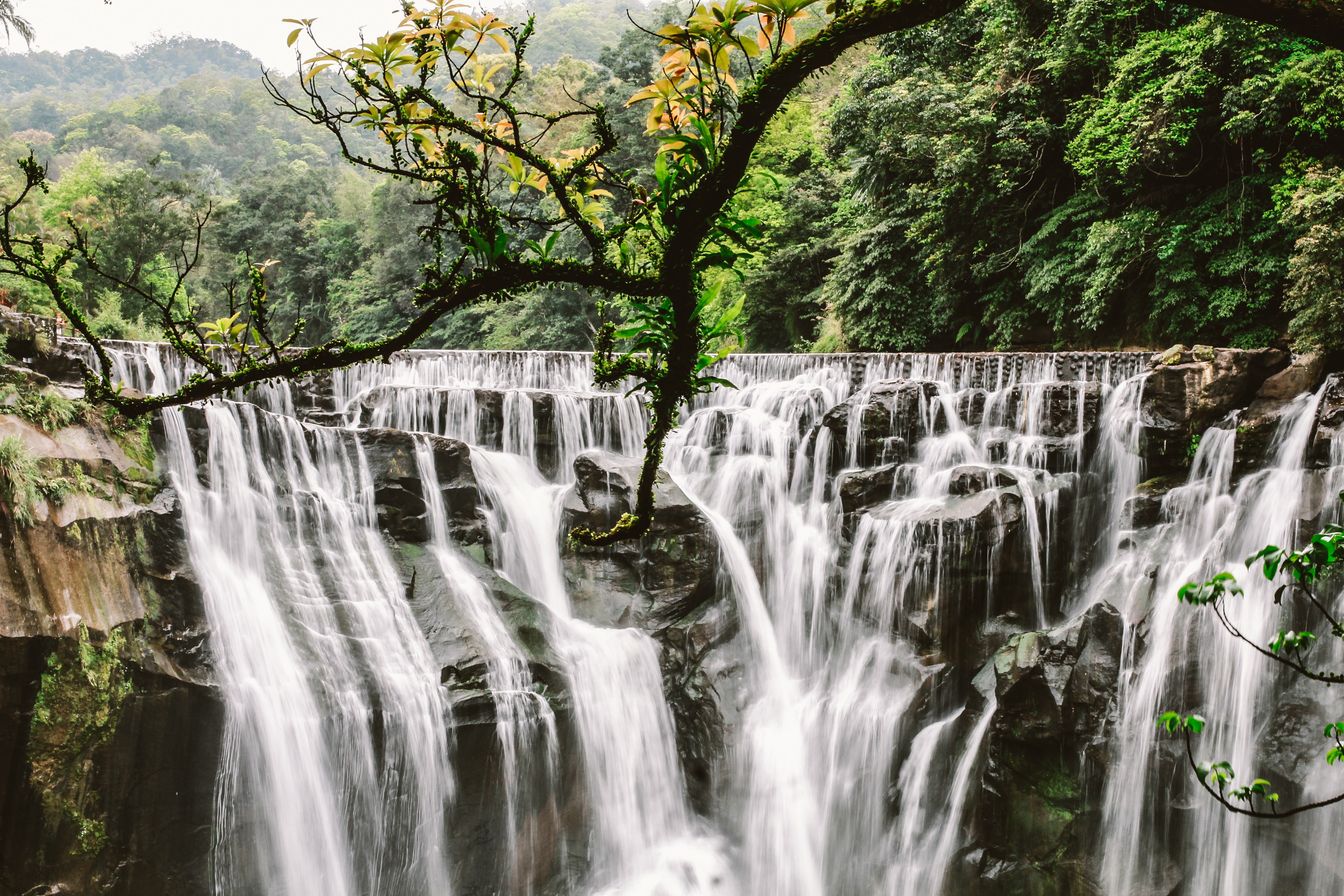 Cluster waterfalls surrounded with trees photo