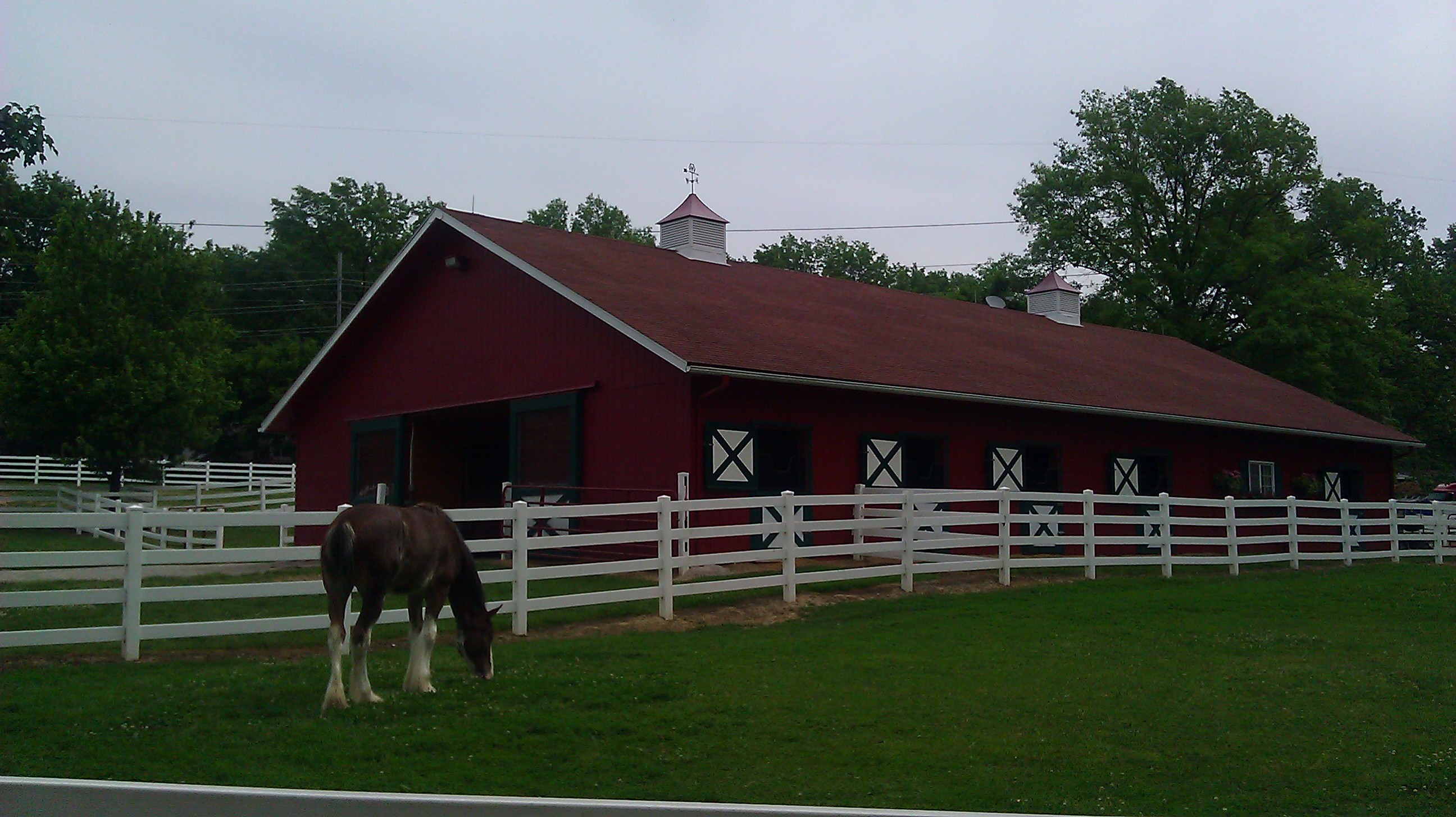 A Visit to Grant's Farm -- St. Louis, MO -- Anheuser Busch