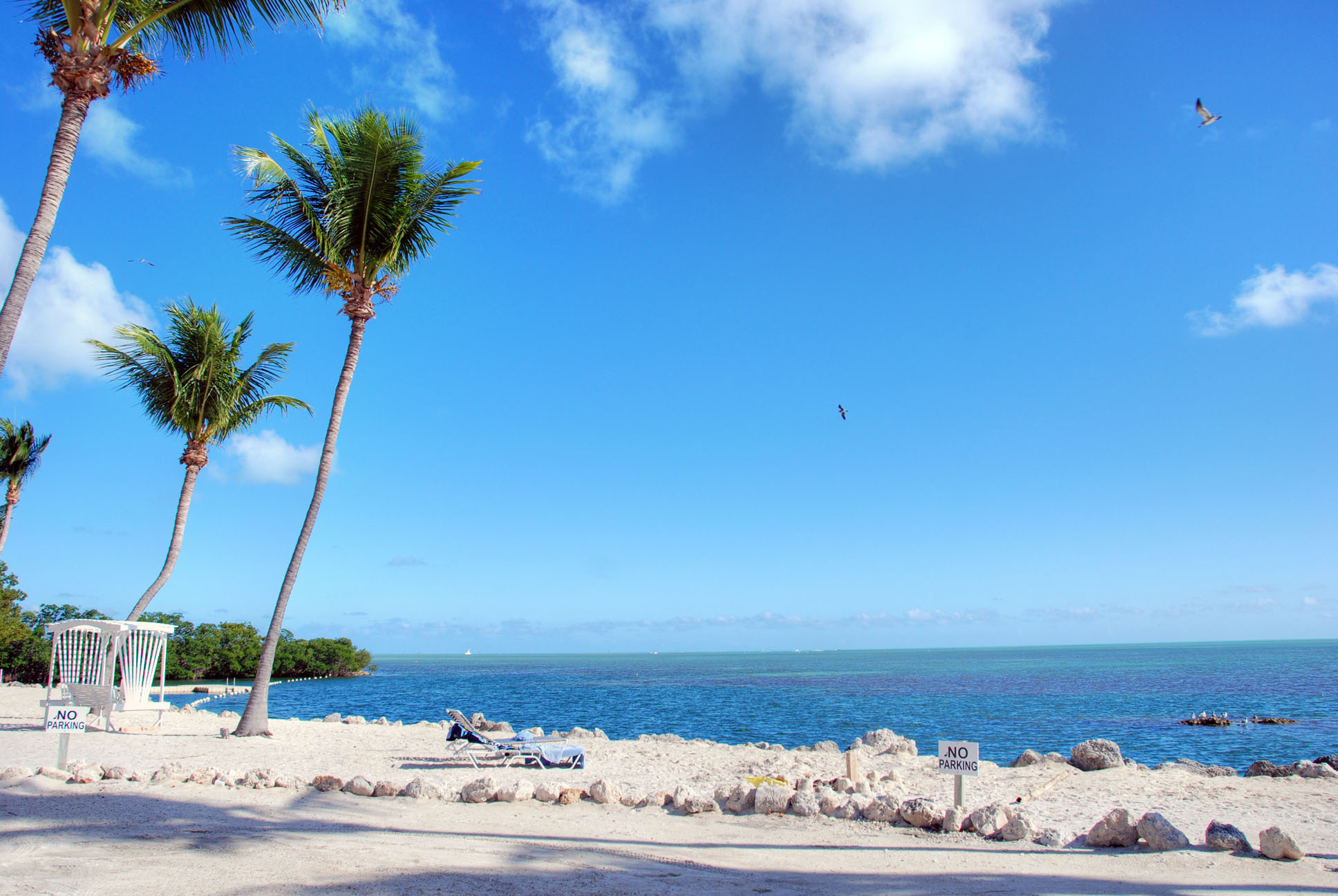 Coast of The Keys, America, Summer, River, Sail, HQ Photo