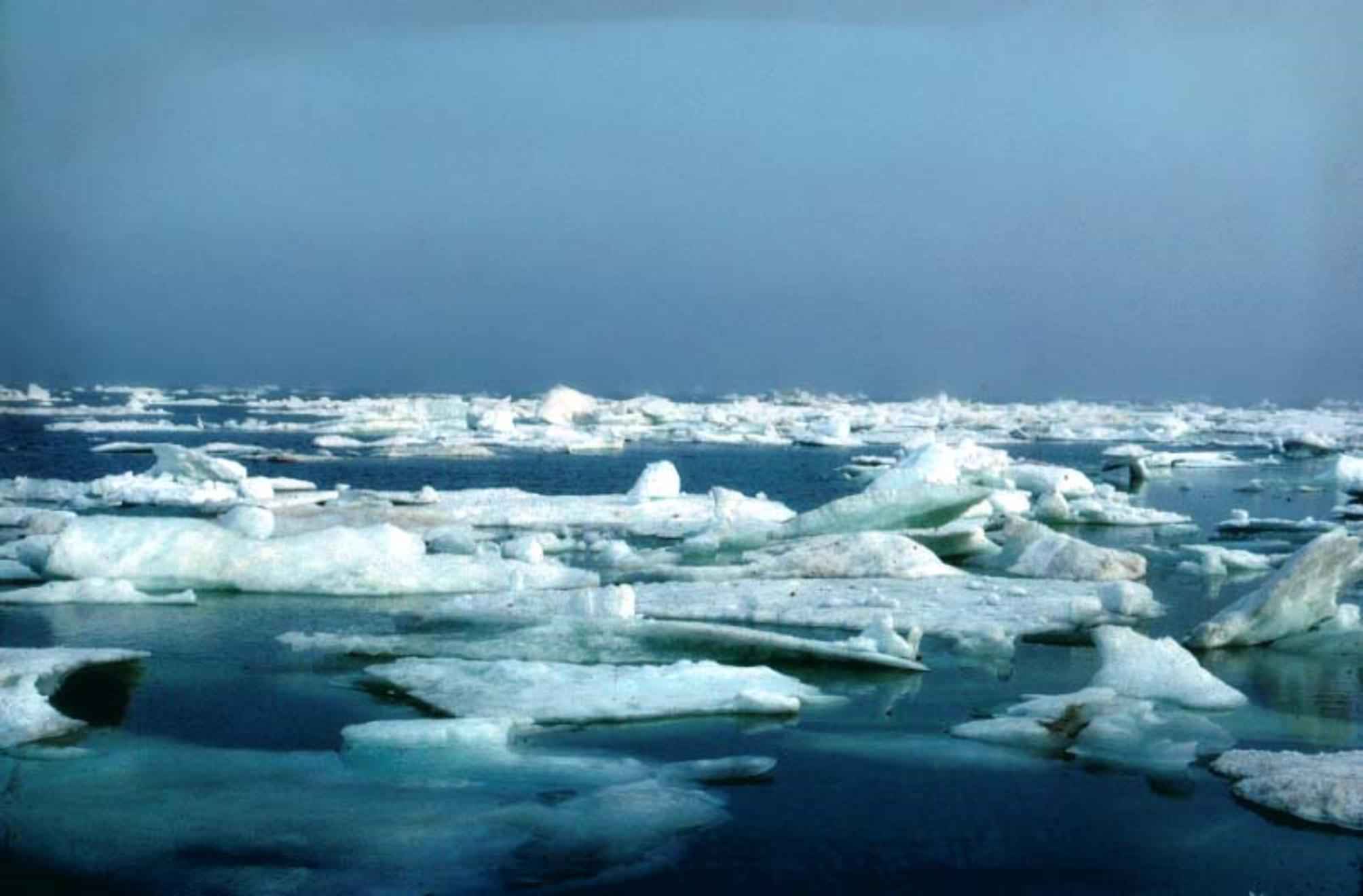 Крупное море северного ледовитого океана. Баренцево море льды. Северный Ледовитый океан лед море. Торосы Карское море. Баренцево море айсберги.