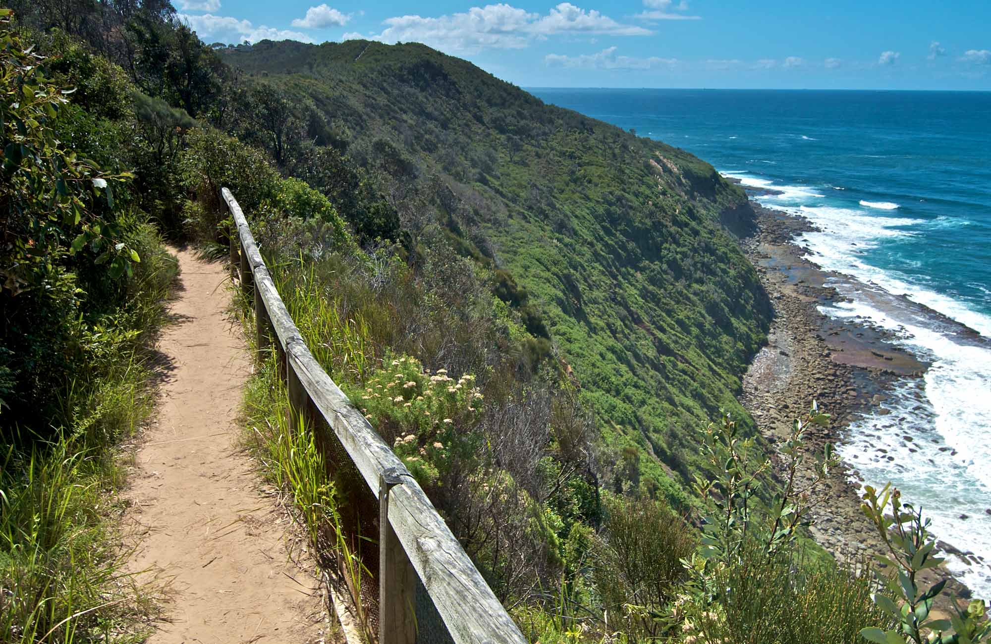 The Coast walking track | NSW National Parks