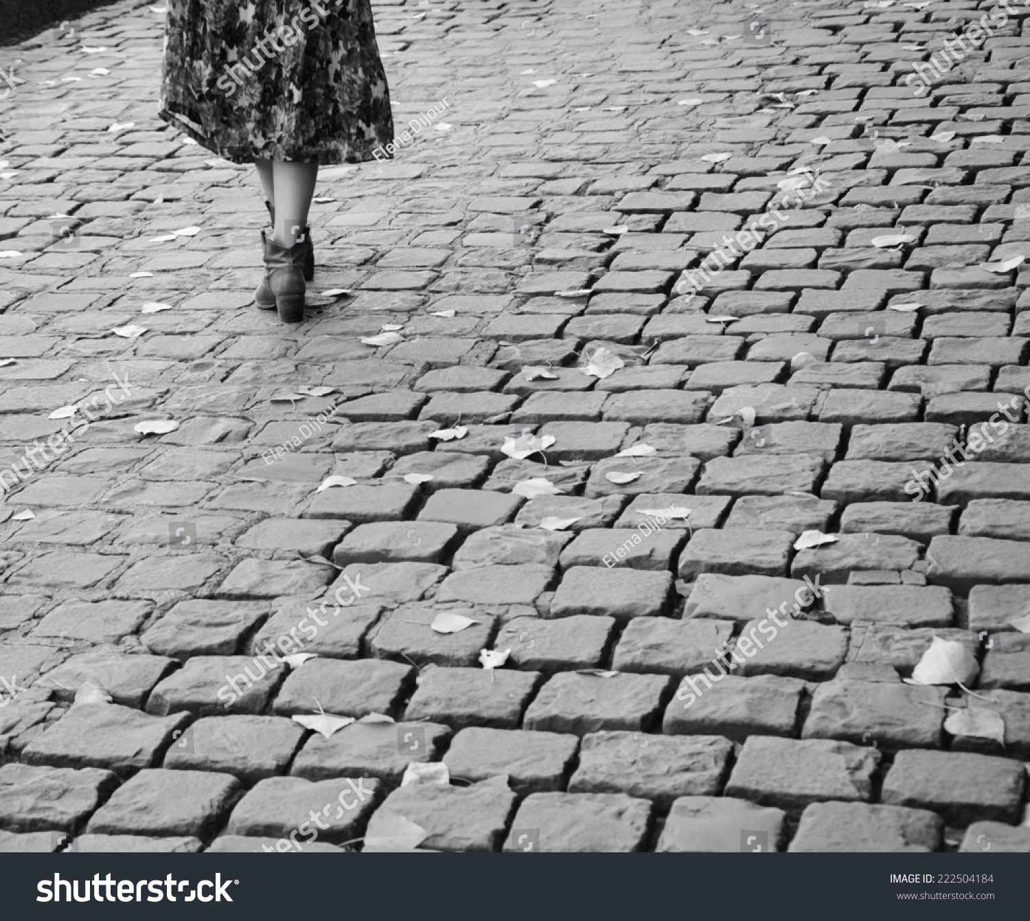 Closeup Young Woman Legs On Parisian Stock Photo (Royalty Free ...