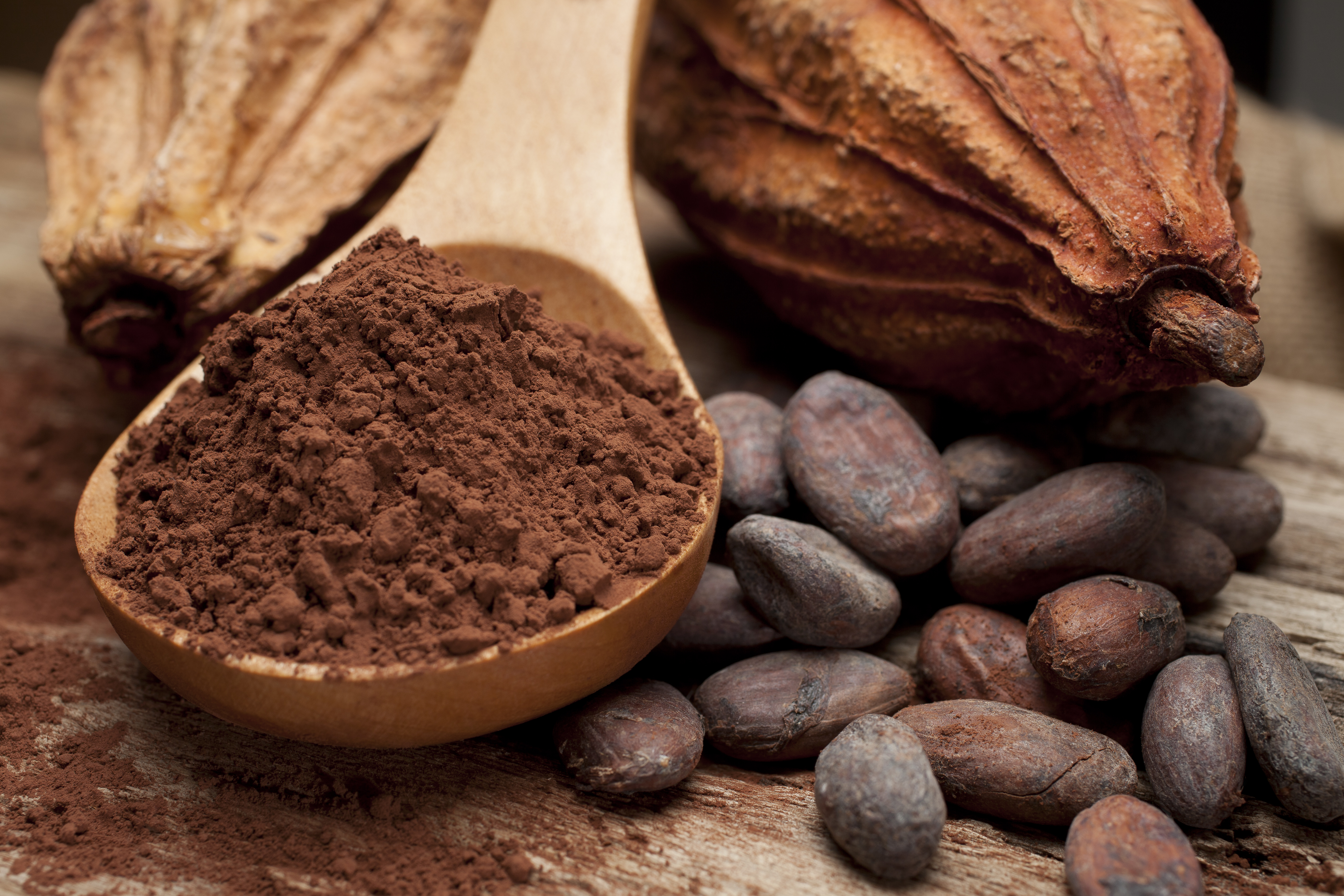 New Report Discusses the Cocoa Market and Requirements to Start a ...