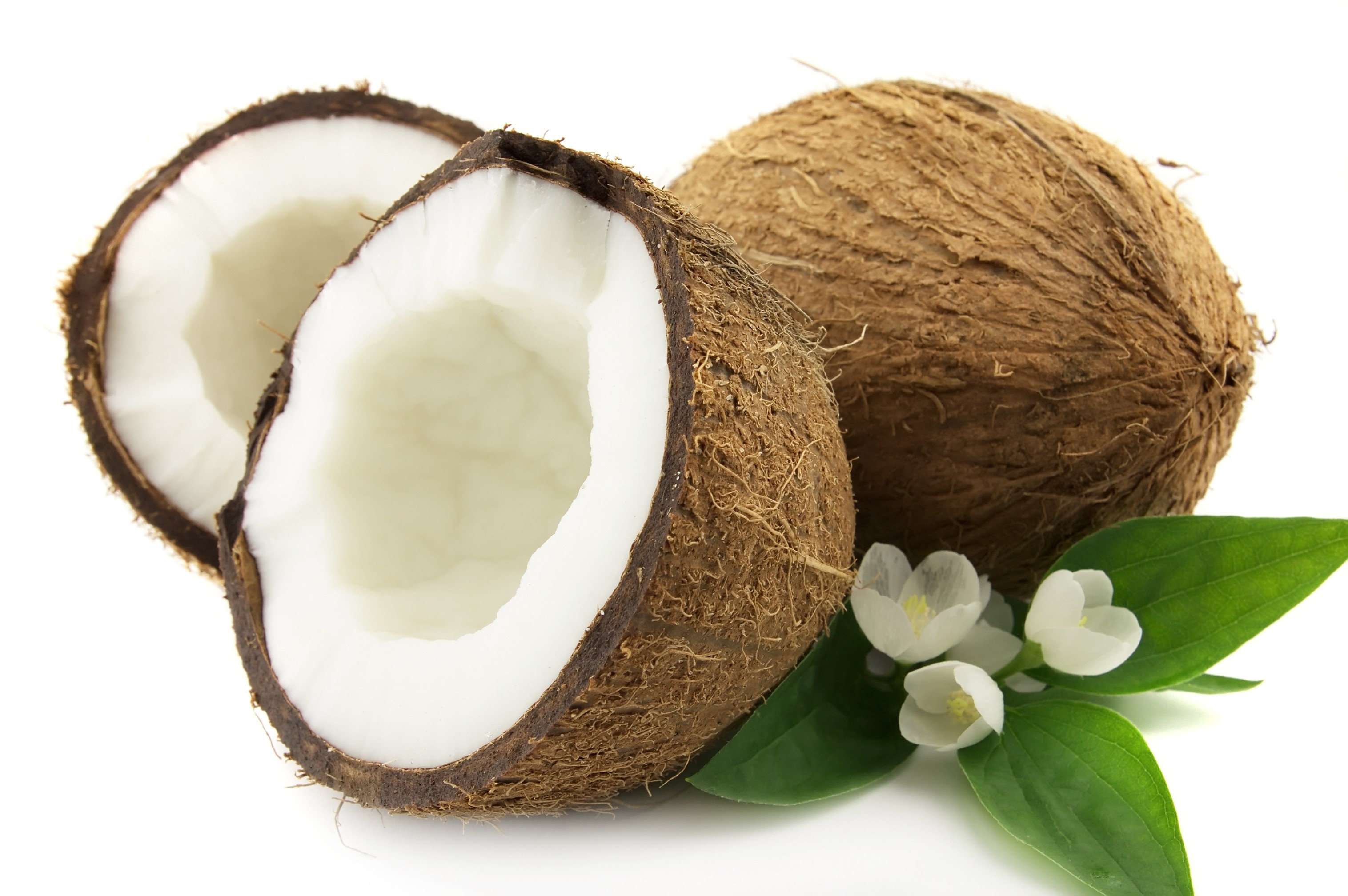 Coconut Imported From 8 Countries | Financial Tribune