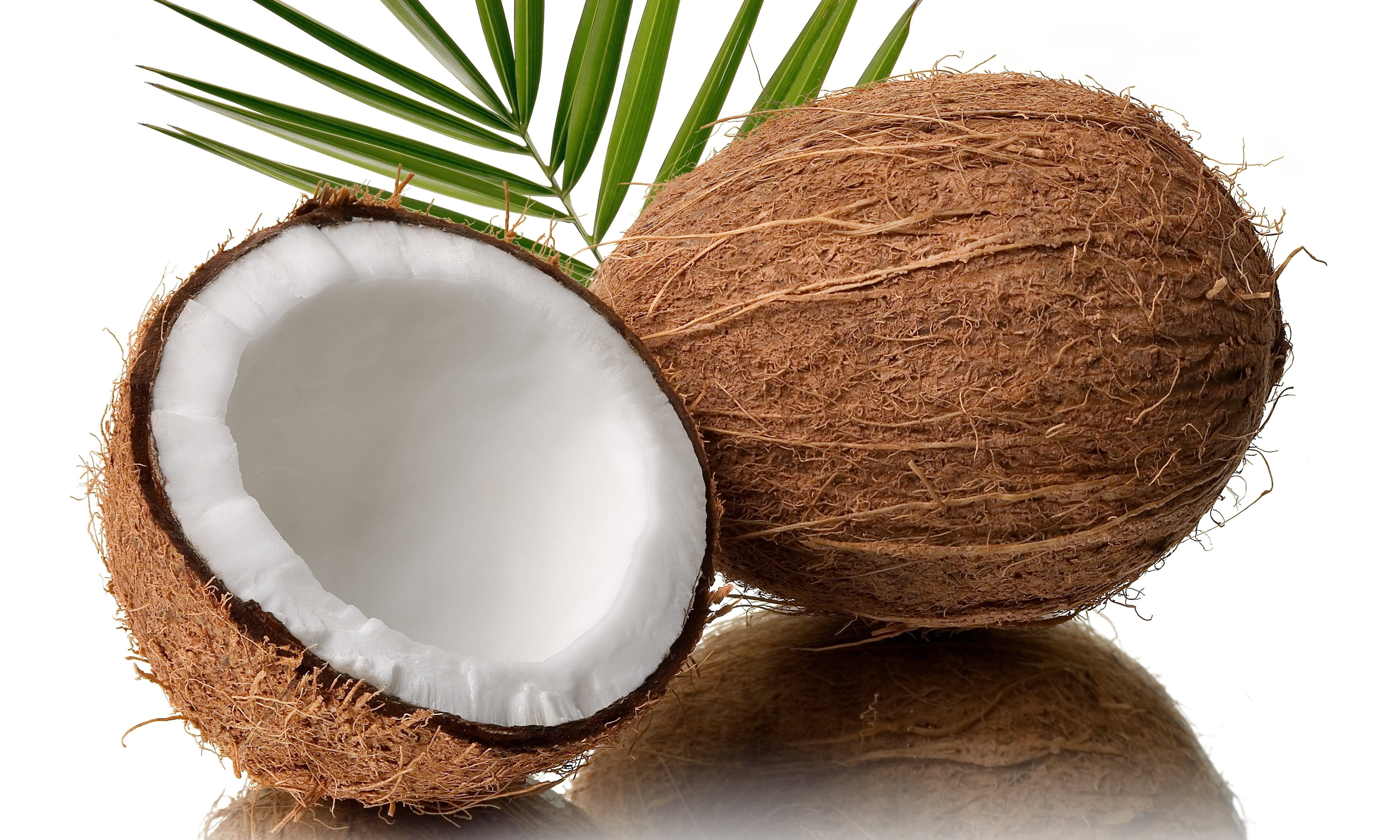 Cut into half coconut fruit on white surface HD wallpaper ...