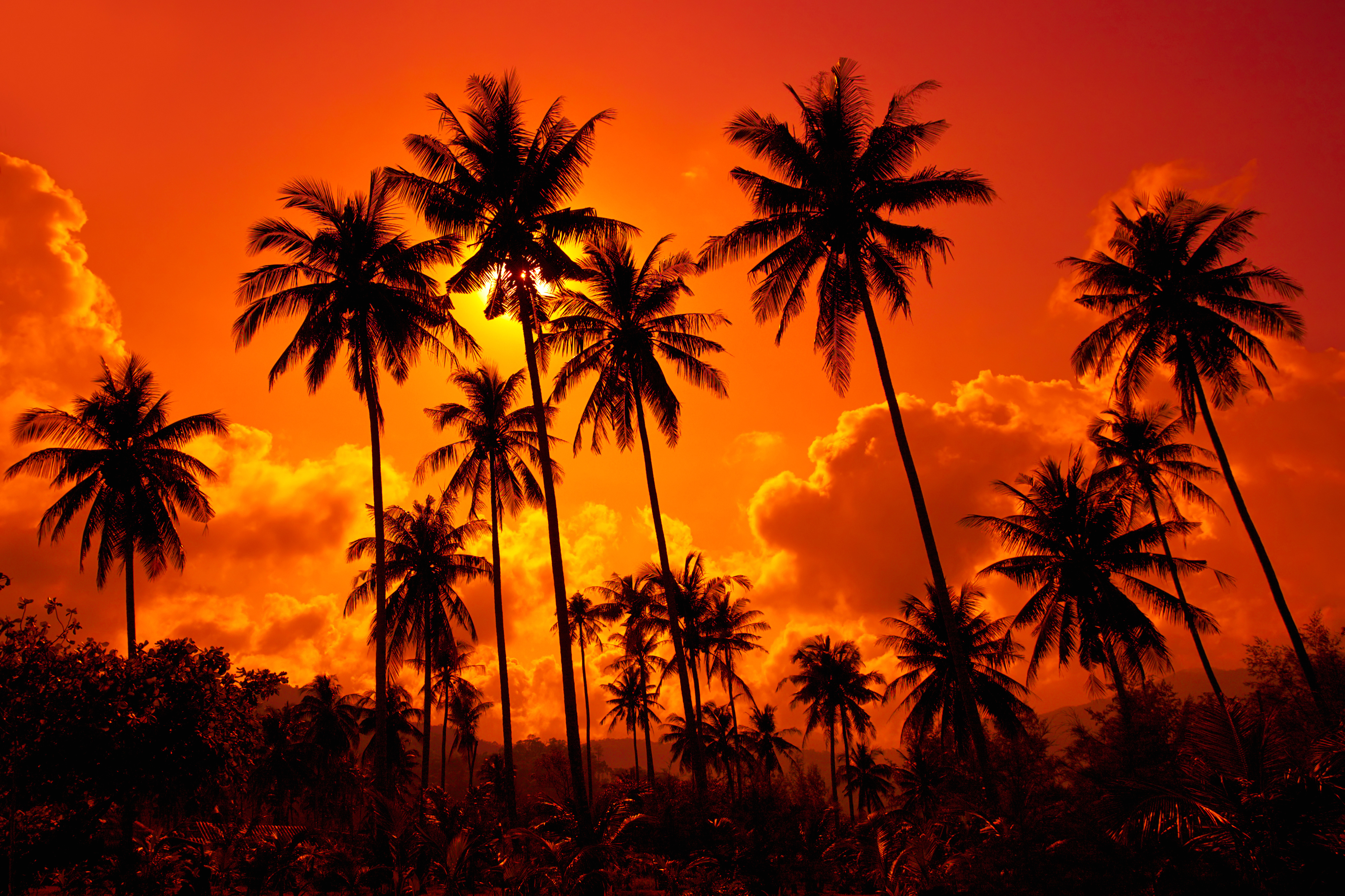 Tropical Sunset Background | Gallery Yopriceville - High-Quality ...