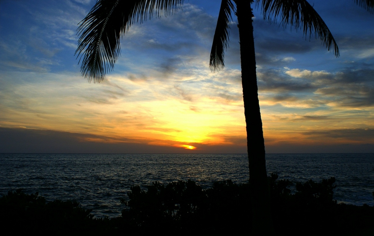 Coconut Sunset, Beach, Sun, Water, Vacation, HQ Photo