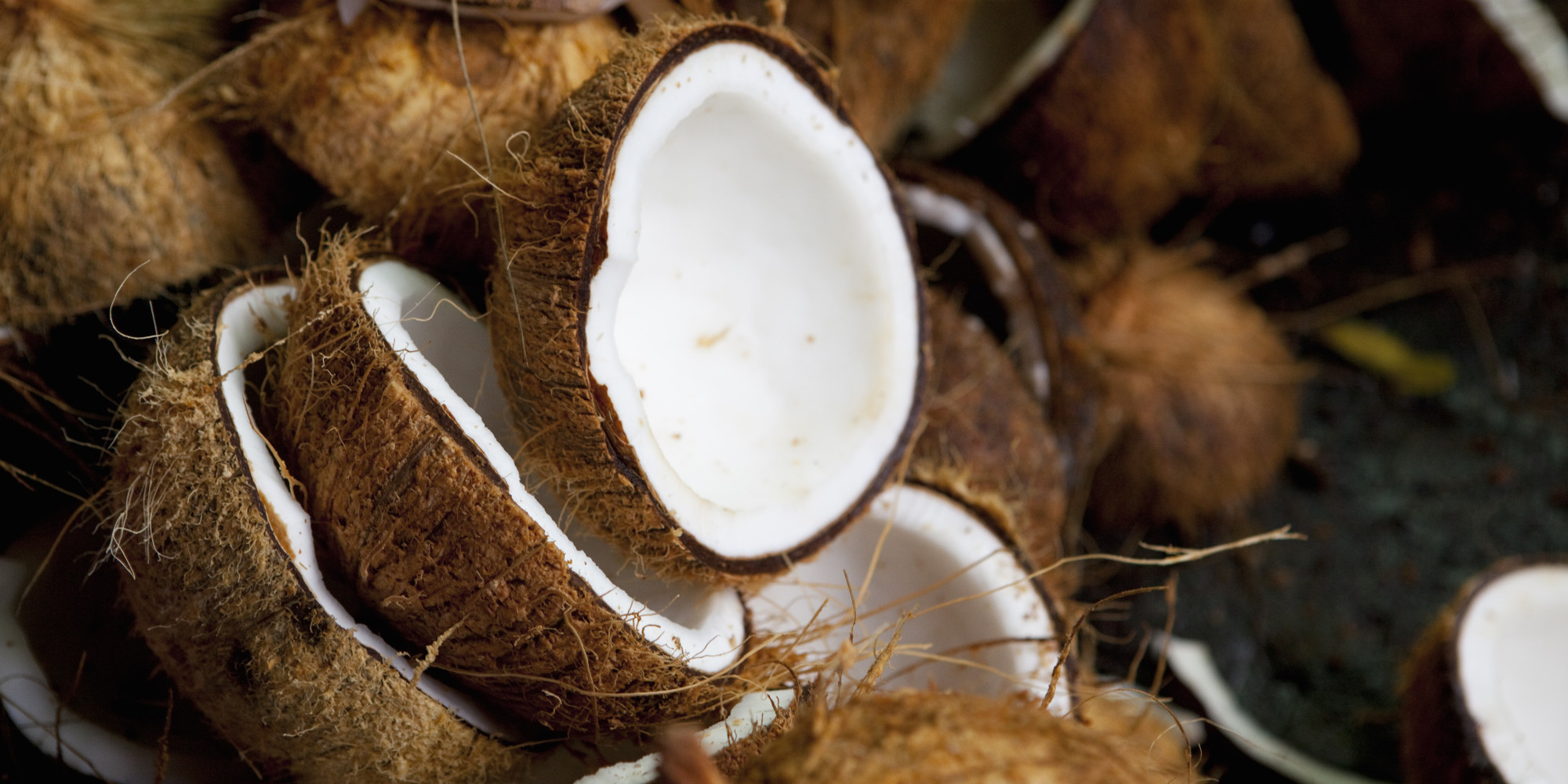 Coconut Fun Facts | Mobile Cuisine