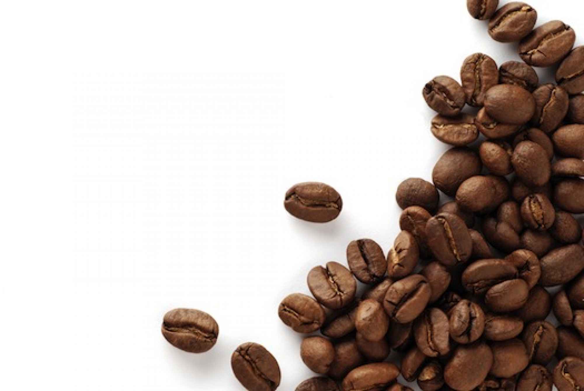 Does Coffee Harm Your Gut? | The Sleuth Journal
