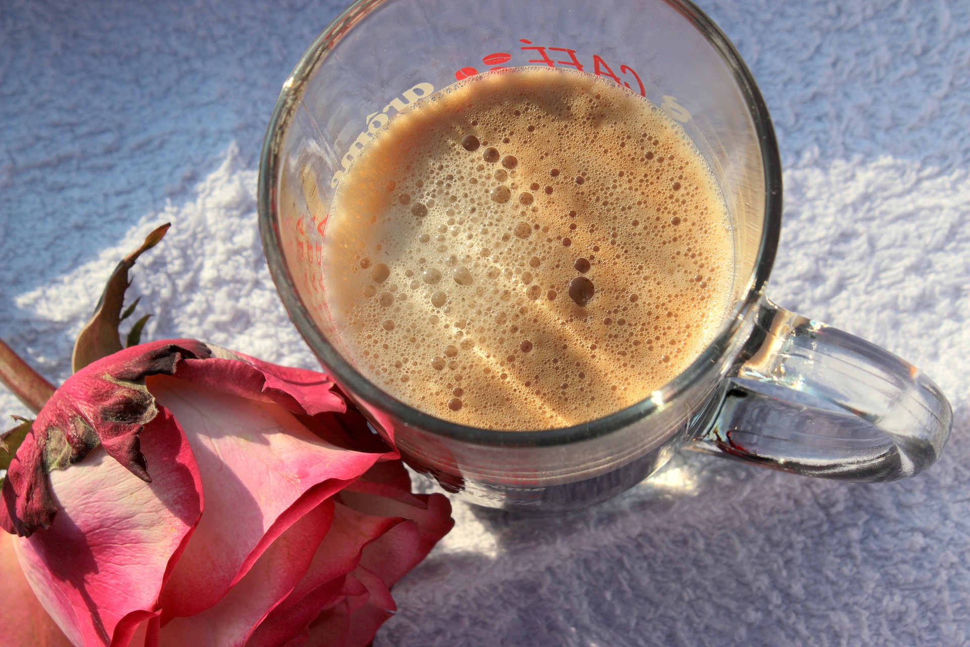 Coffee and flower photo