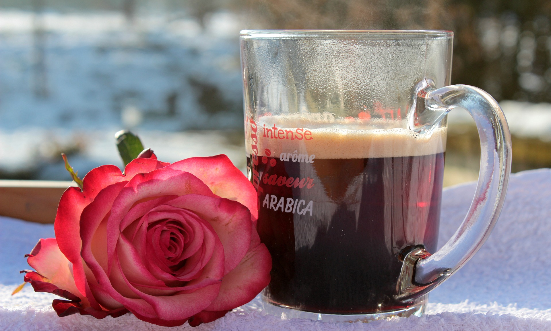 Coffee and flower photo