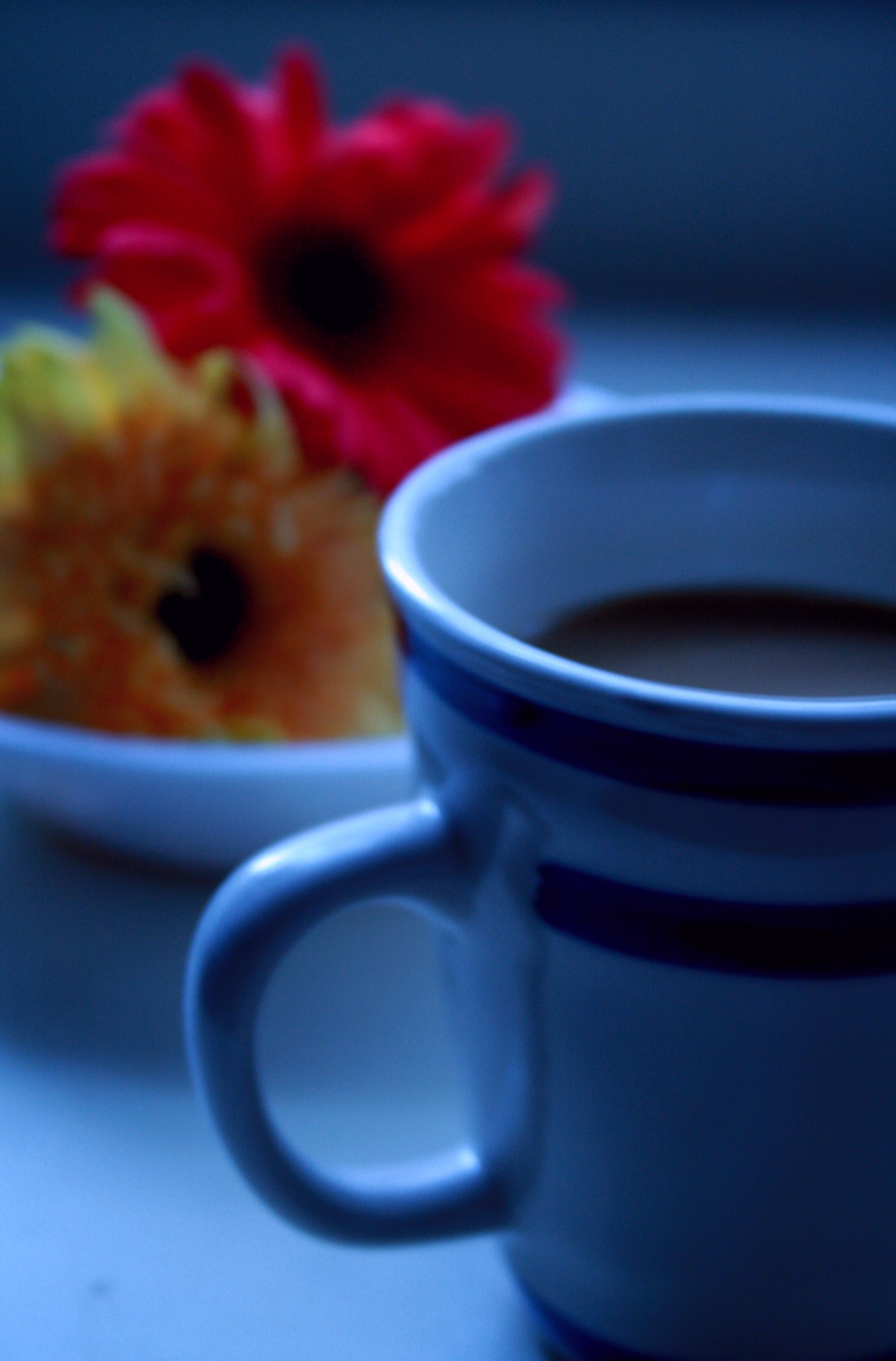File:Free Cup of Coffee and Flowers at Daybreak Creative Commons ...