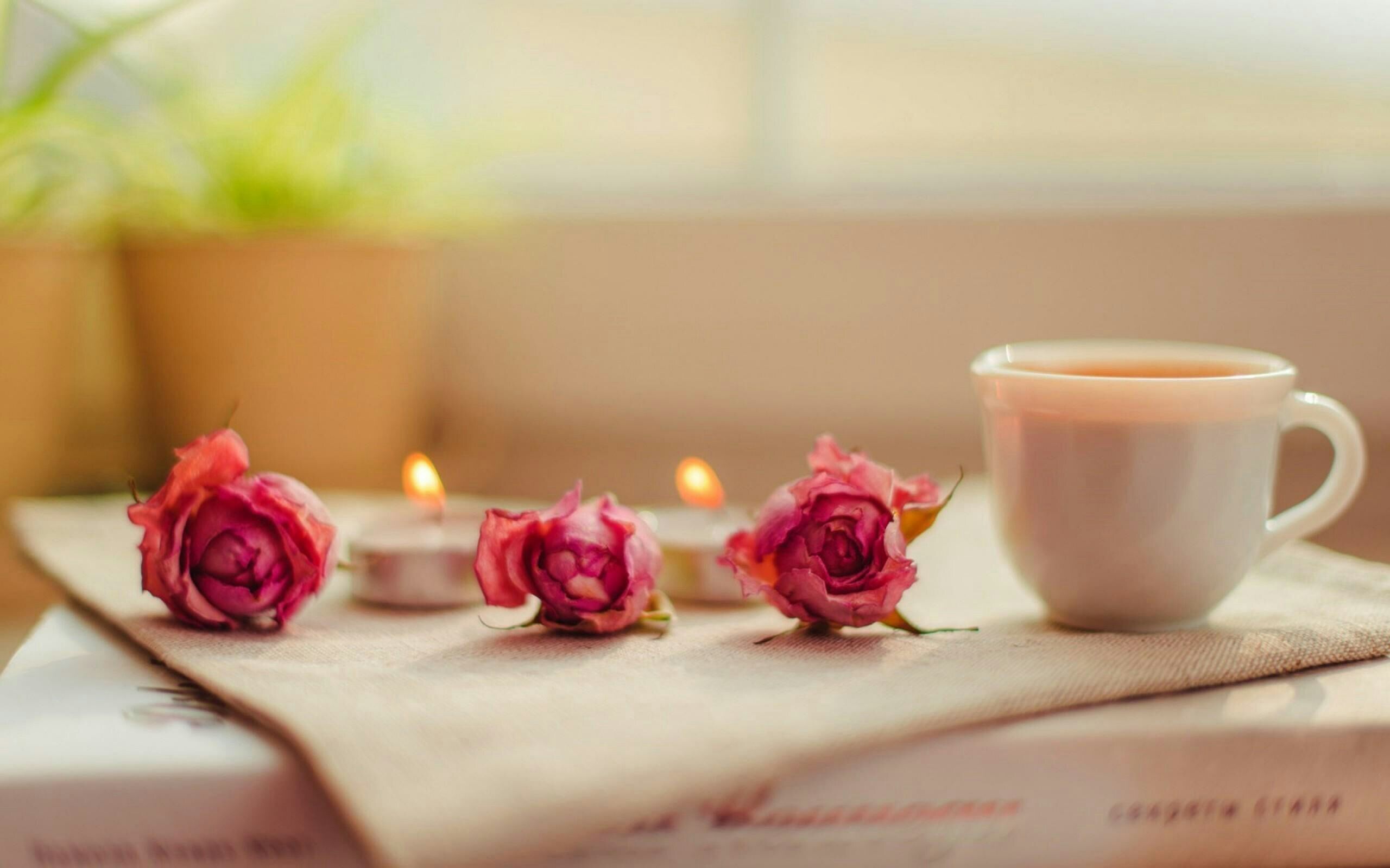 Coffee and Flowers Morning Wallpaper for desktop and mobile in high ...