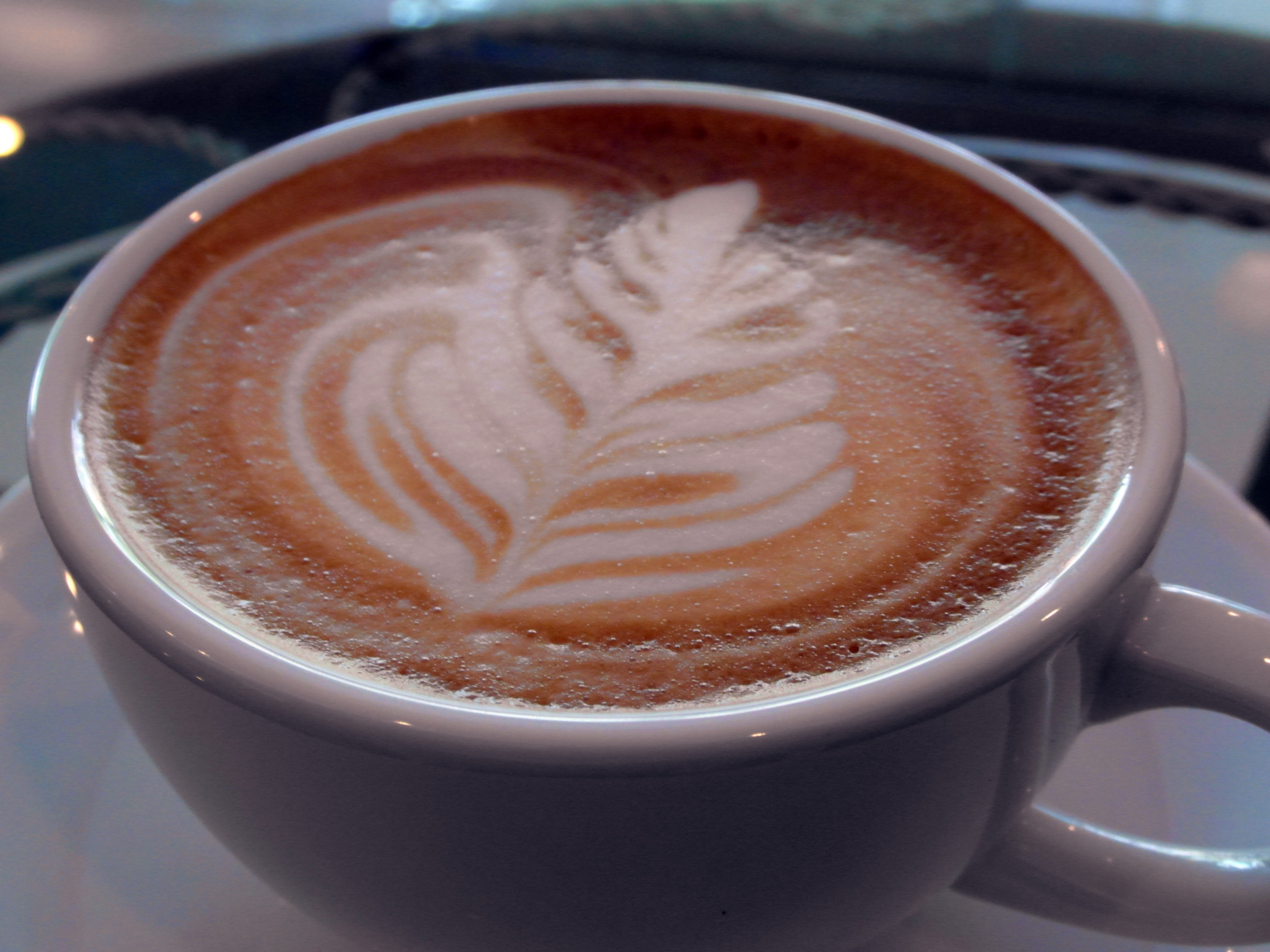 Coffee art leaf design photo