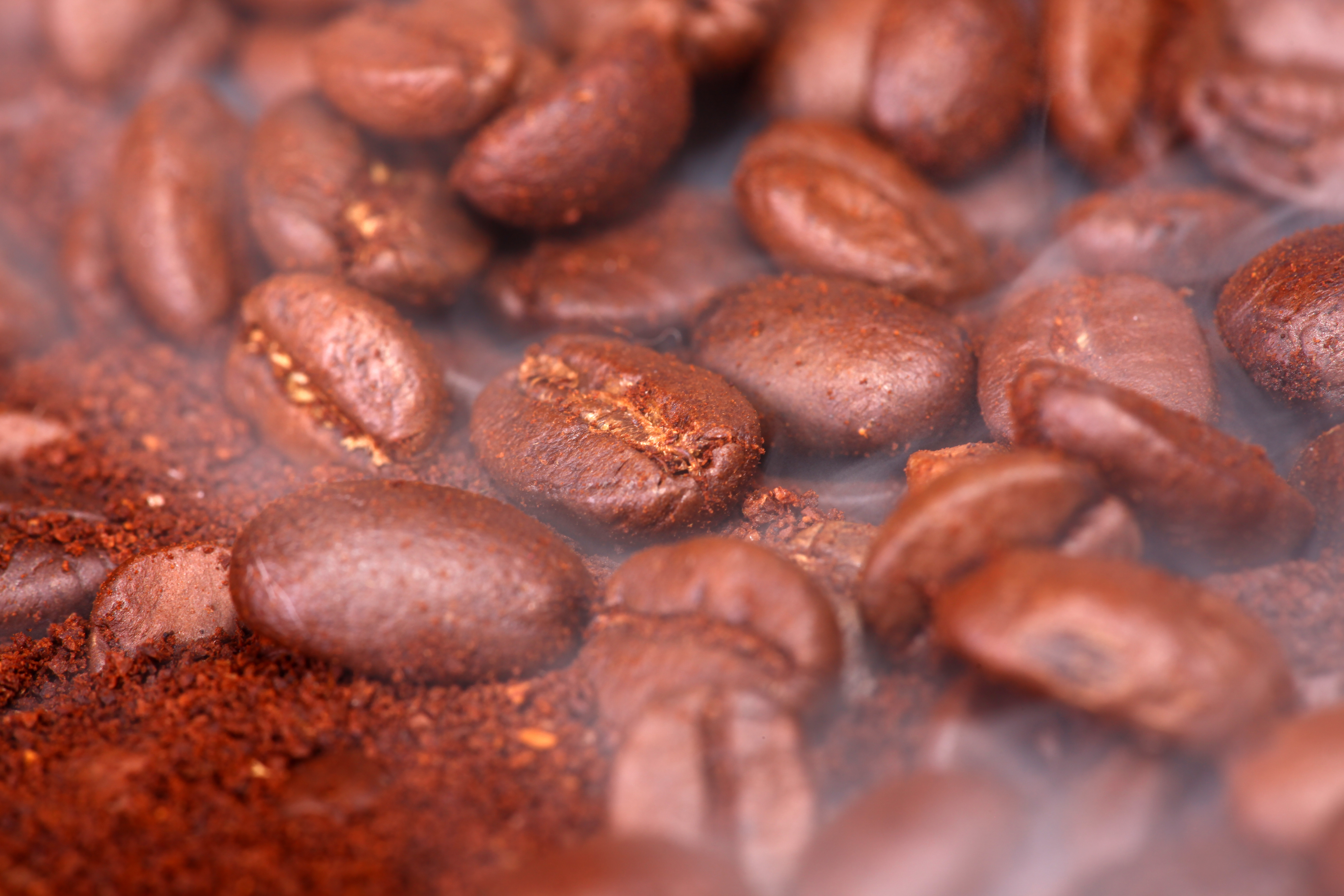coffee beans, Abstract, Objects, Ingredient, Large, HQ Photo