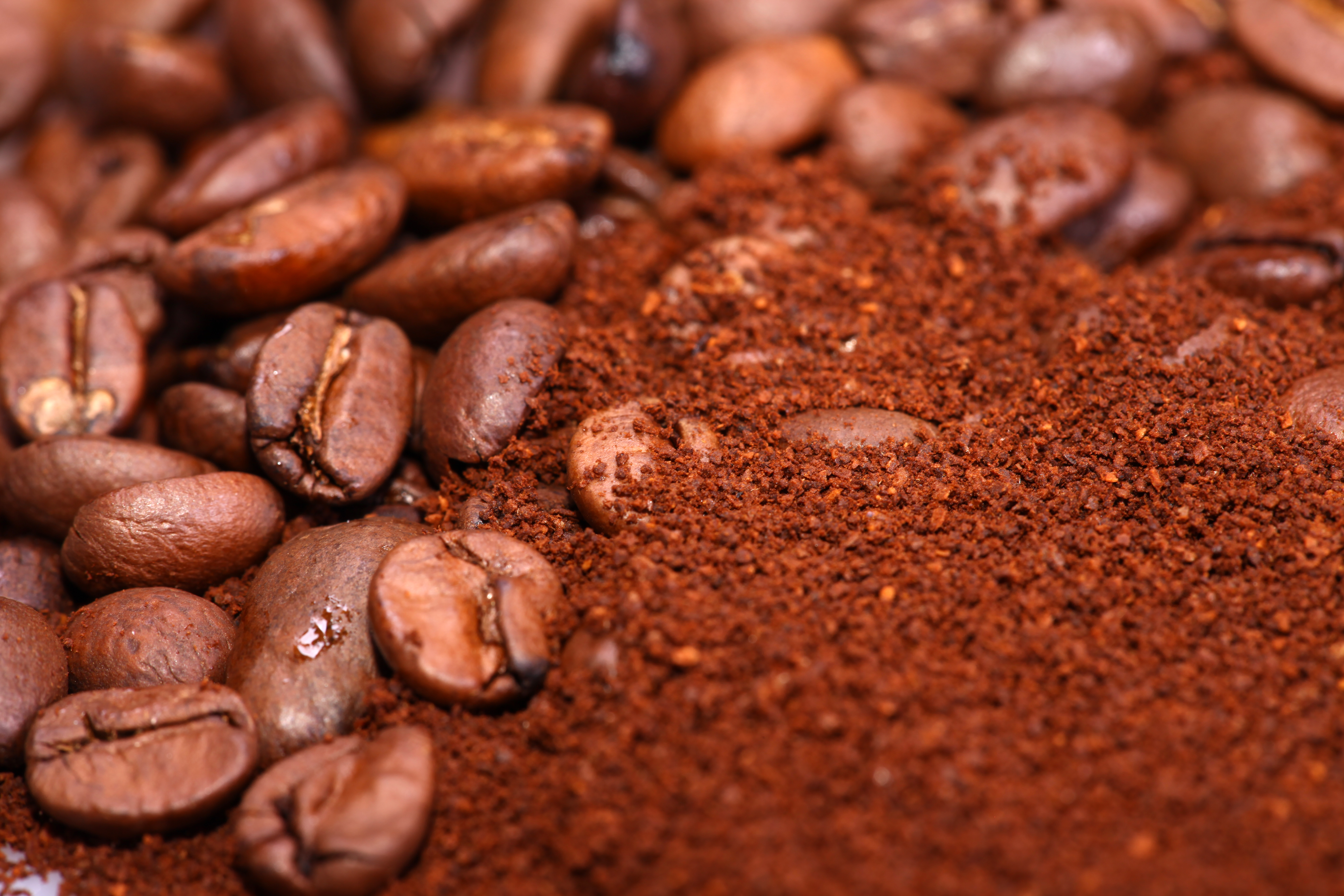 coffee beans, Backdrop, Food, Raw, Picture, HQ Photo