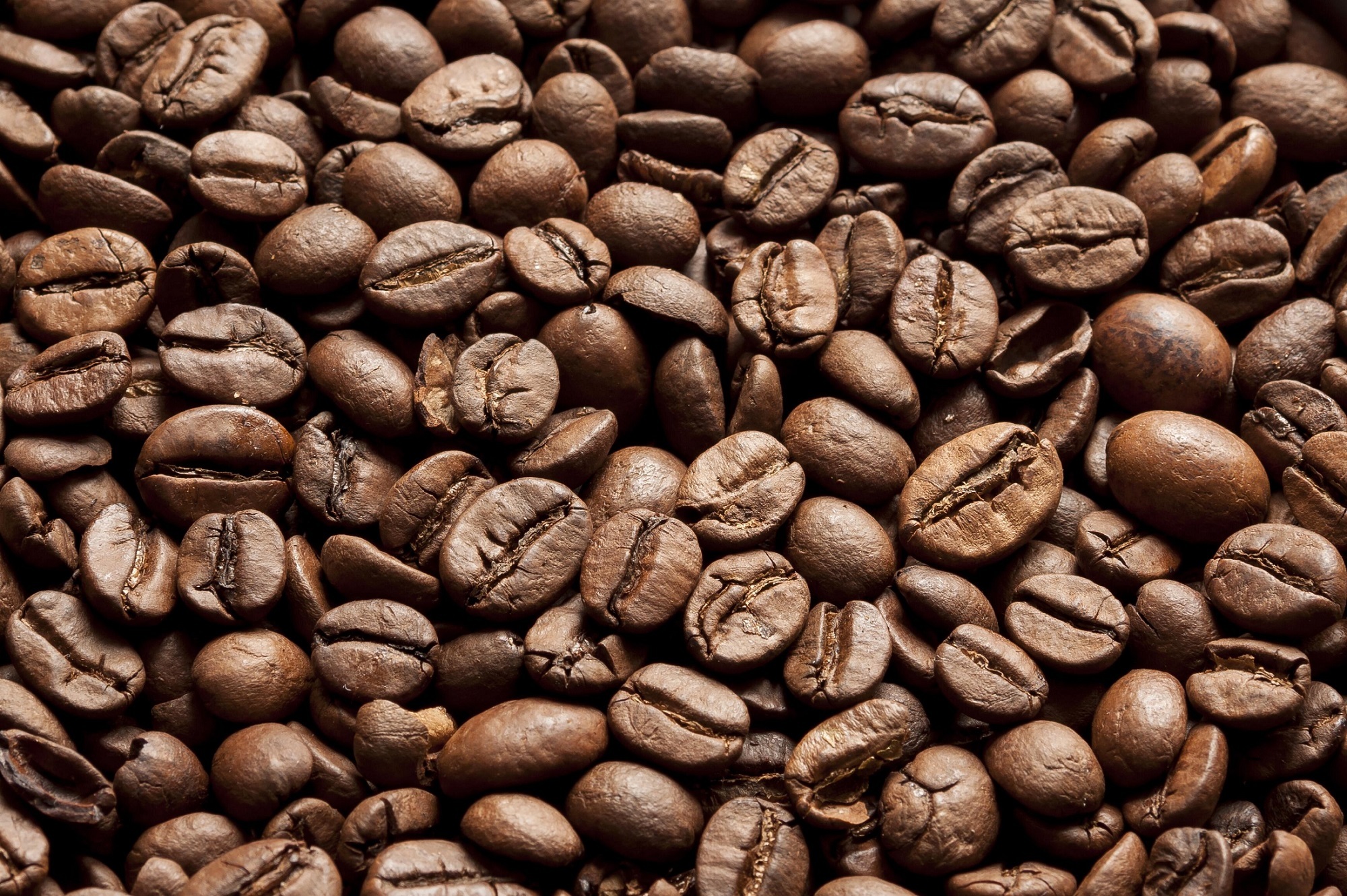 Coffee Beans, Bean, Coffee, Dark, Drink, HQ Photo