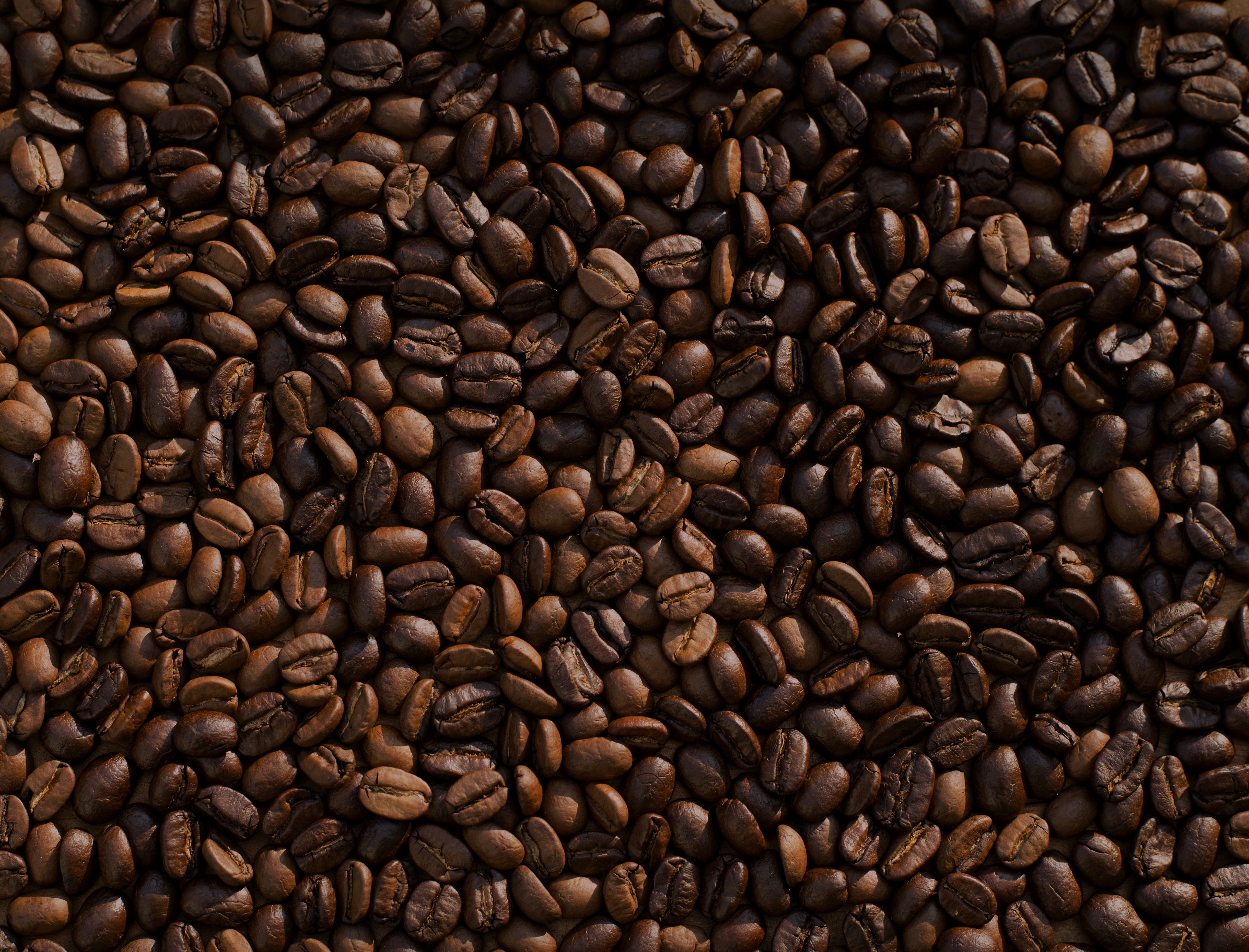 Coffee Beans, Bean, Brown, Coffee, Coffee images, HQ Photo