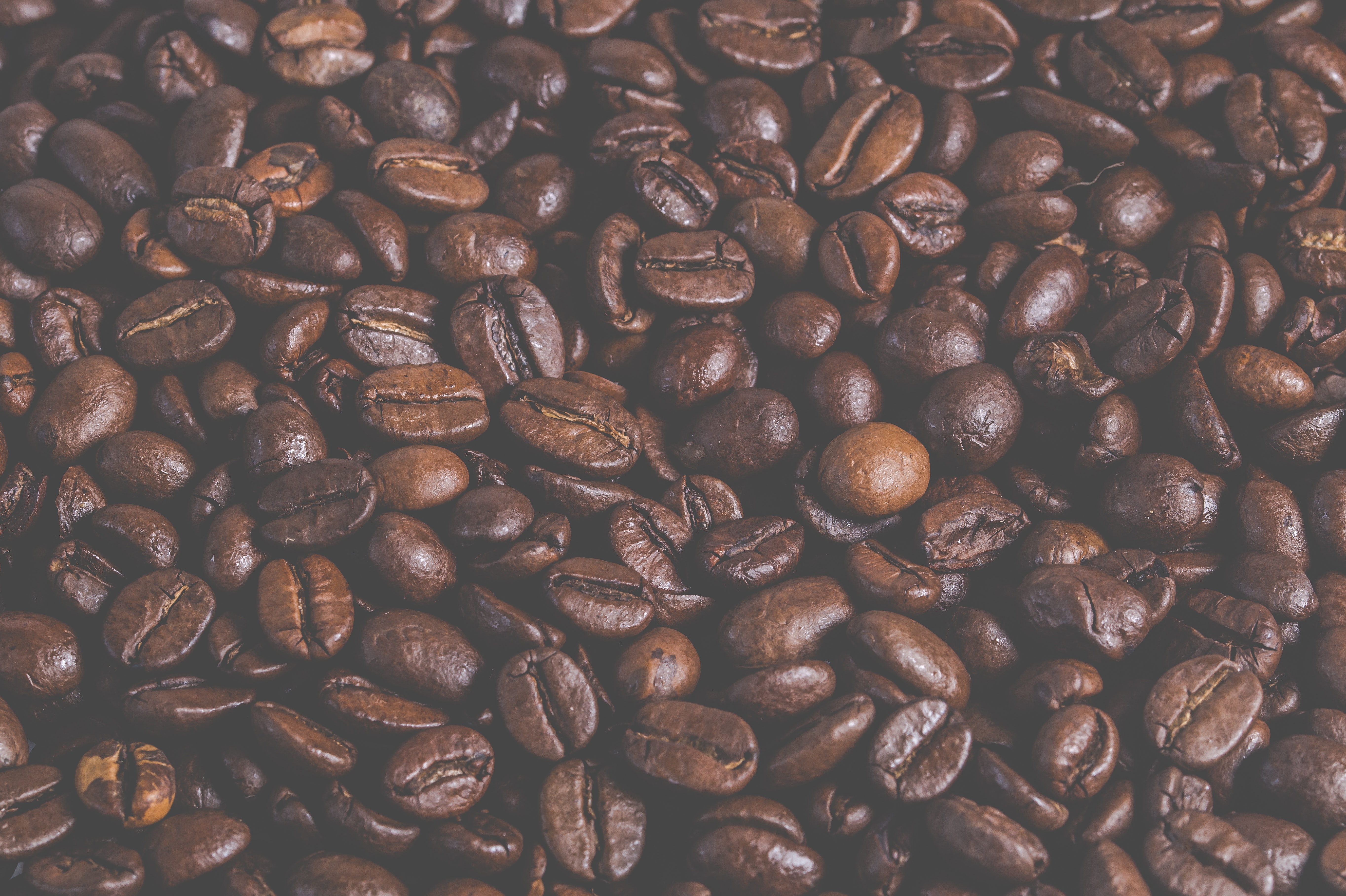 Coffee Beans, Arabica, Aroma, Aromatic, Batch, HQ Photo