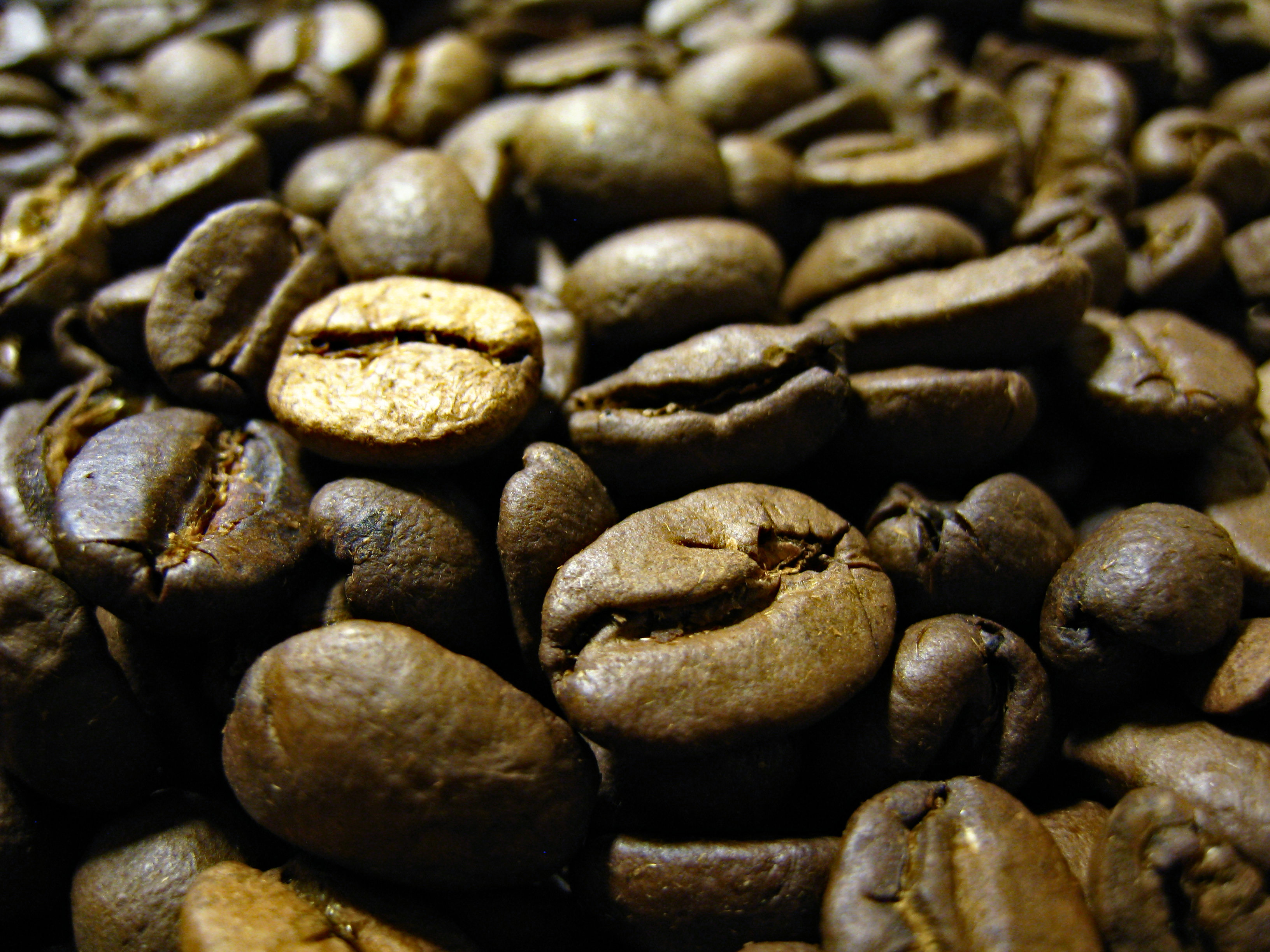 Coffee Beans, Bean, Beans, Beverage, Brown, HQ Photo