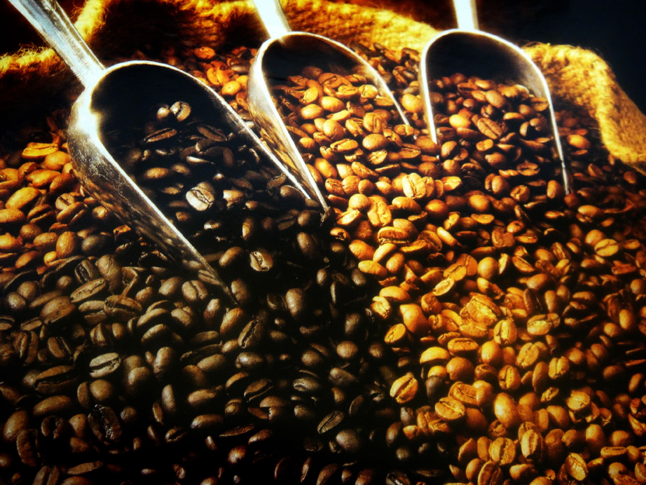 Coffee Beans, Beans, Cafe, Crops, Dark, HQ Photo
