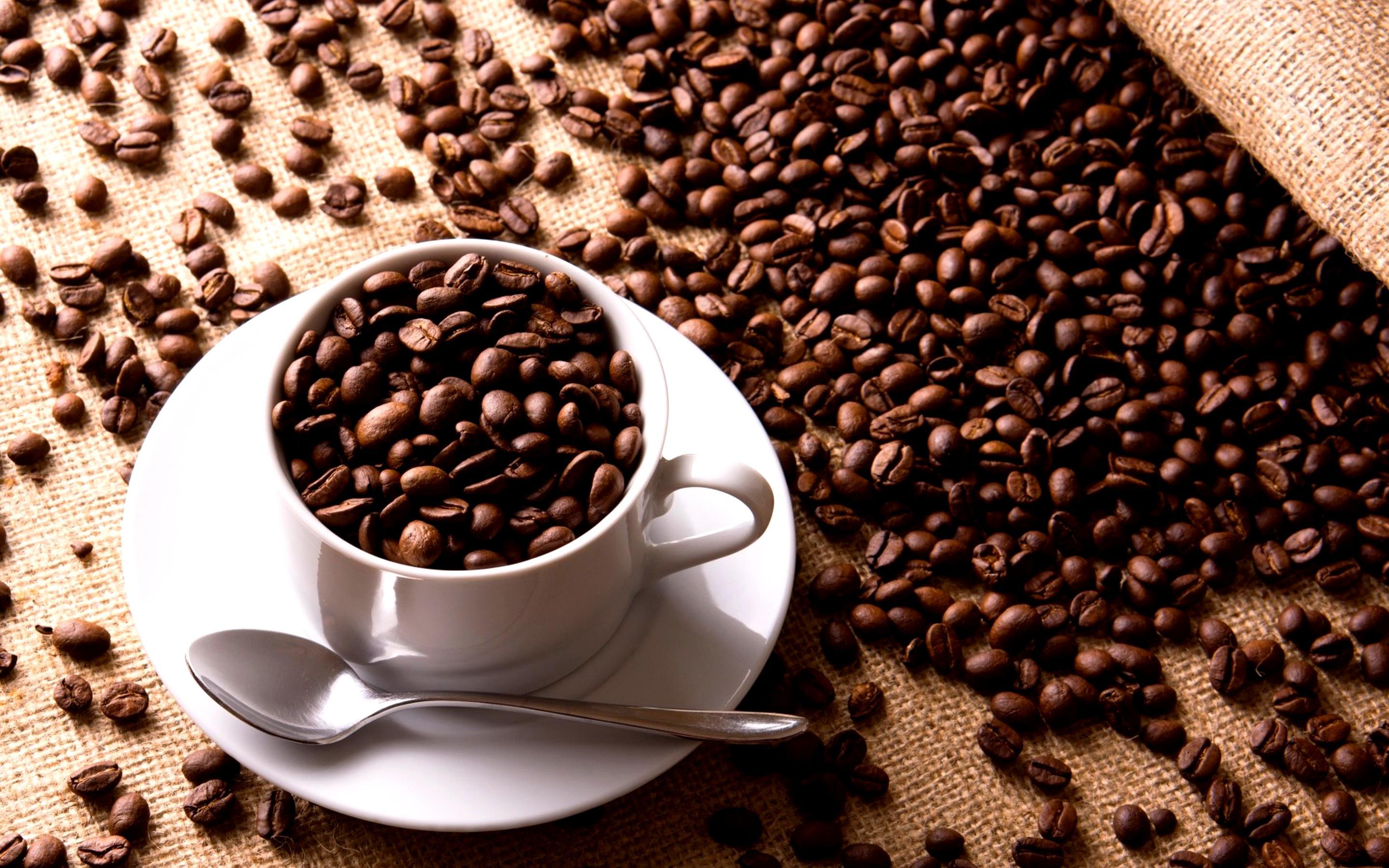 Can You Eat Coffee Beans Without Brewing It - Coffee Lover
