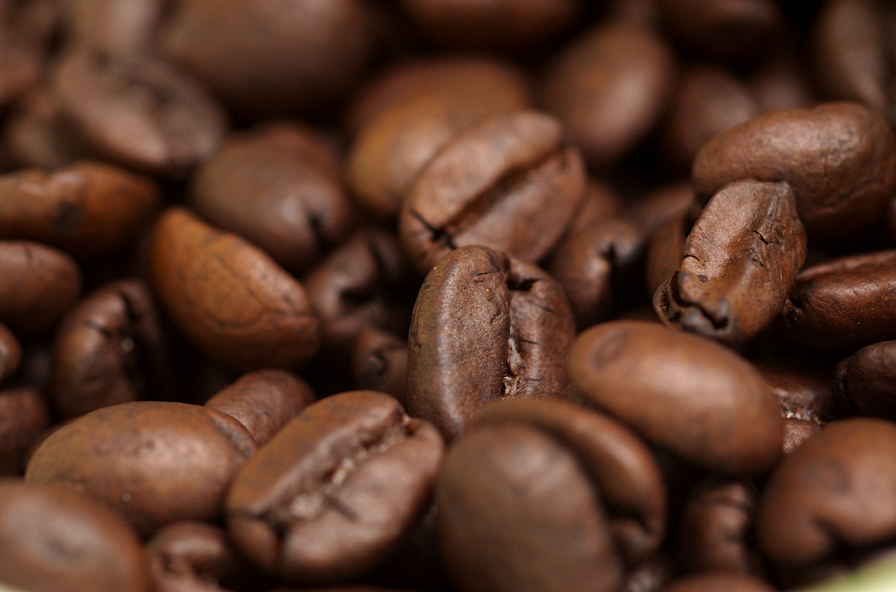 File:Coffee Beans.jpg - Wikimedia Commons