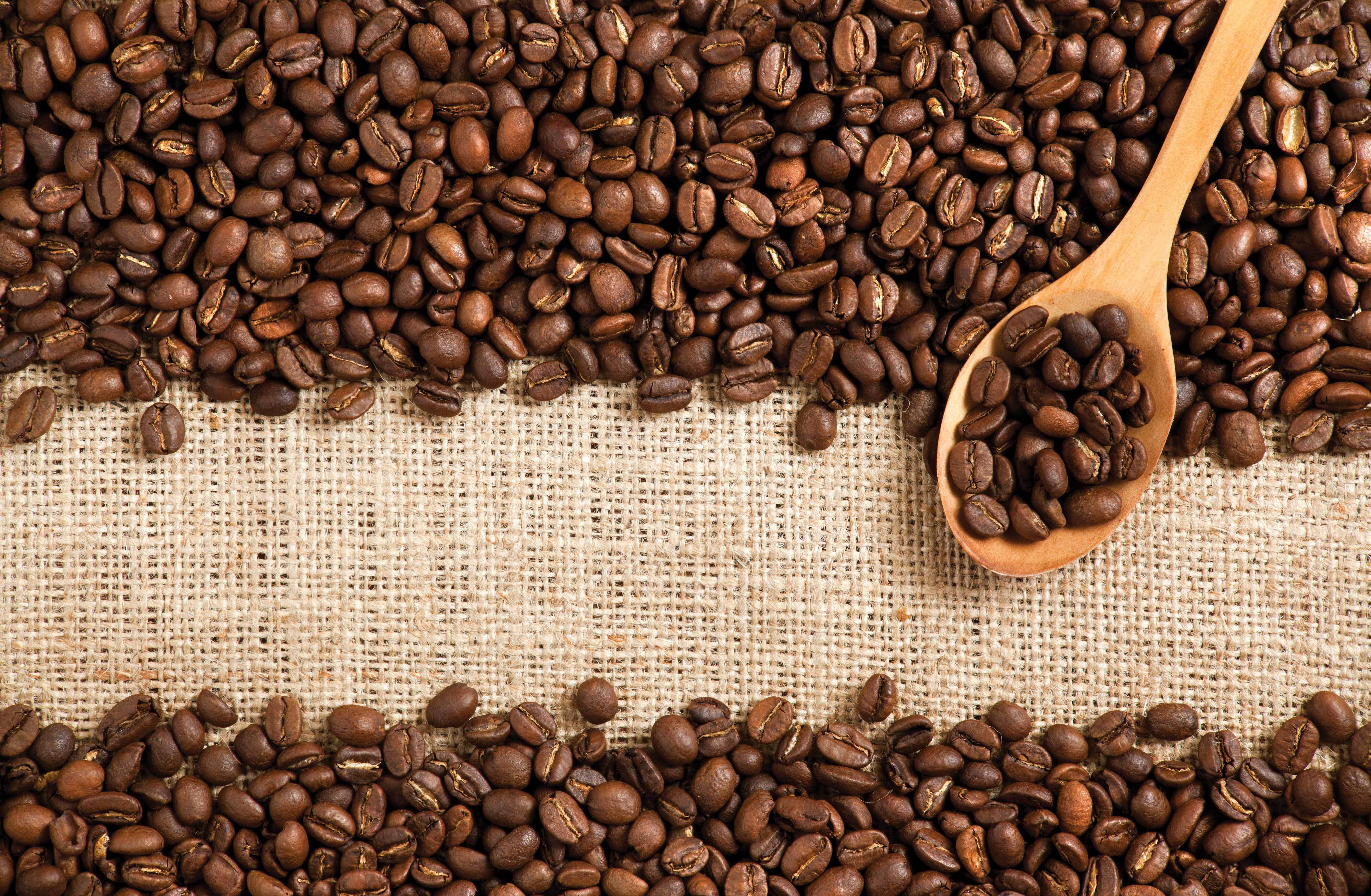 2.5 lbs. El Salvador SHG Santa Maria RFA 100% Arabica Coffee Beans ...