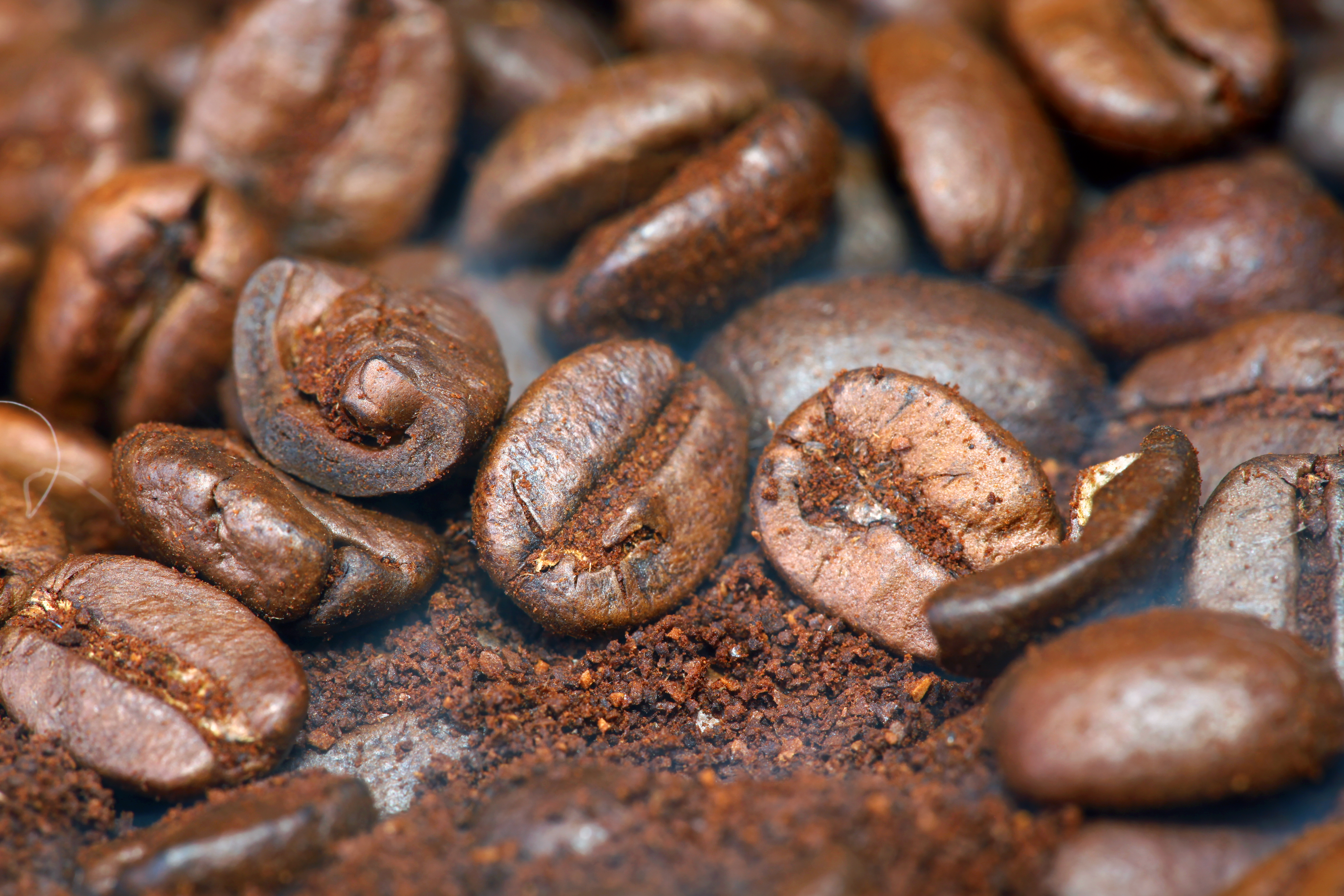 coffee beans, Abstract, Objects, Ingredient, Large, HQ Photo