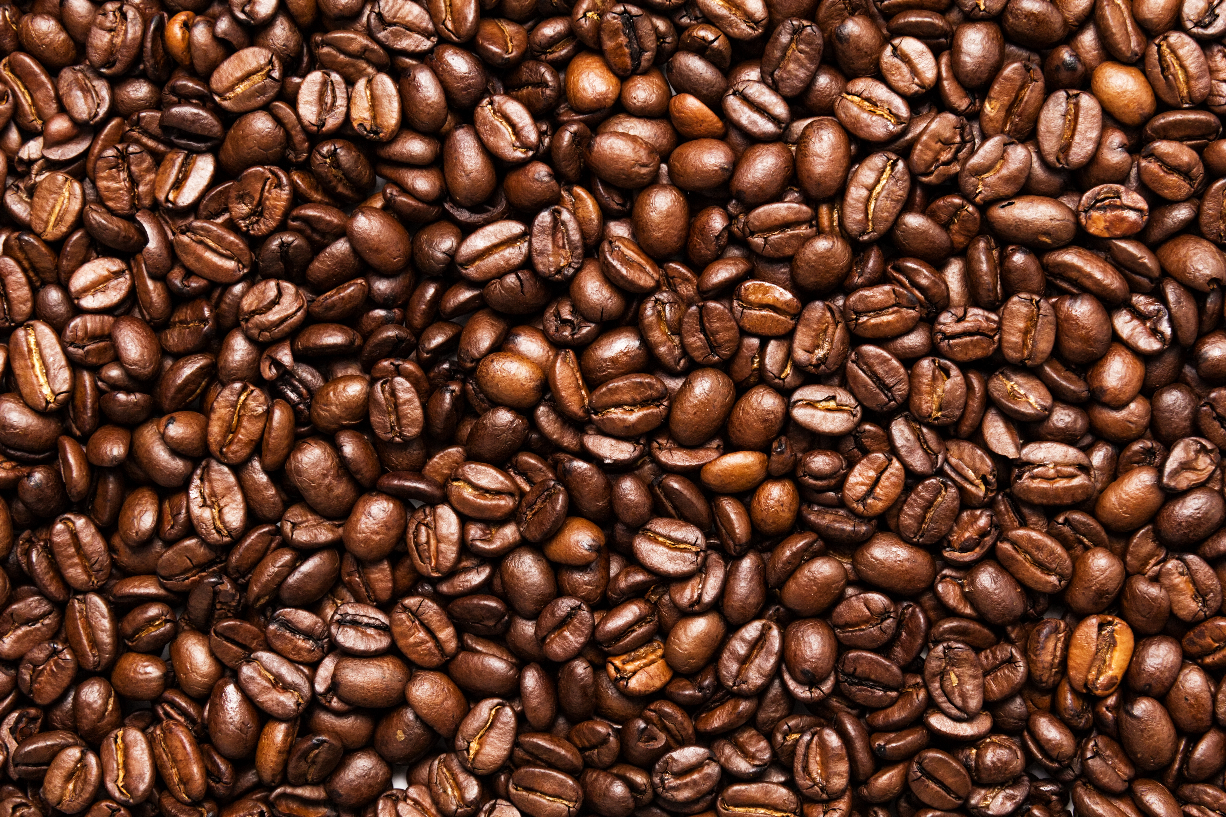 Ing Coffee Beans - Coffee Drinker