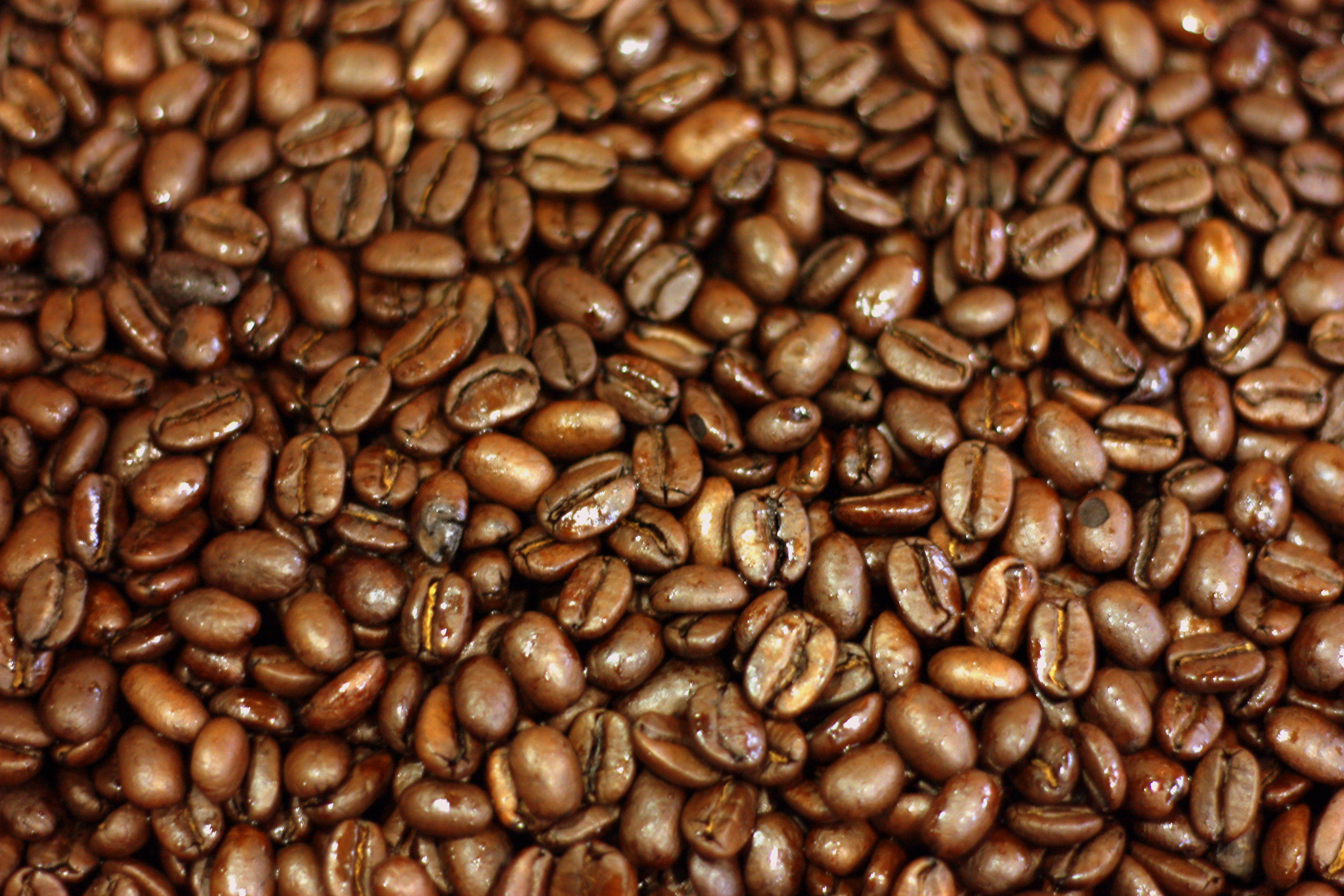 Coffee Beans and Coffee Concerns – Enlightening All Coffee Buffs ...