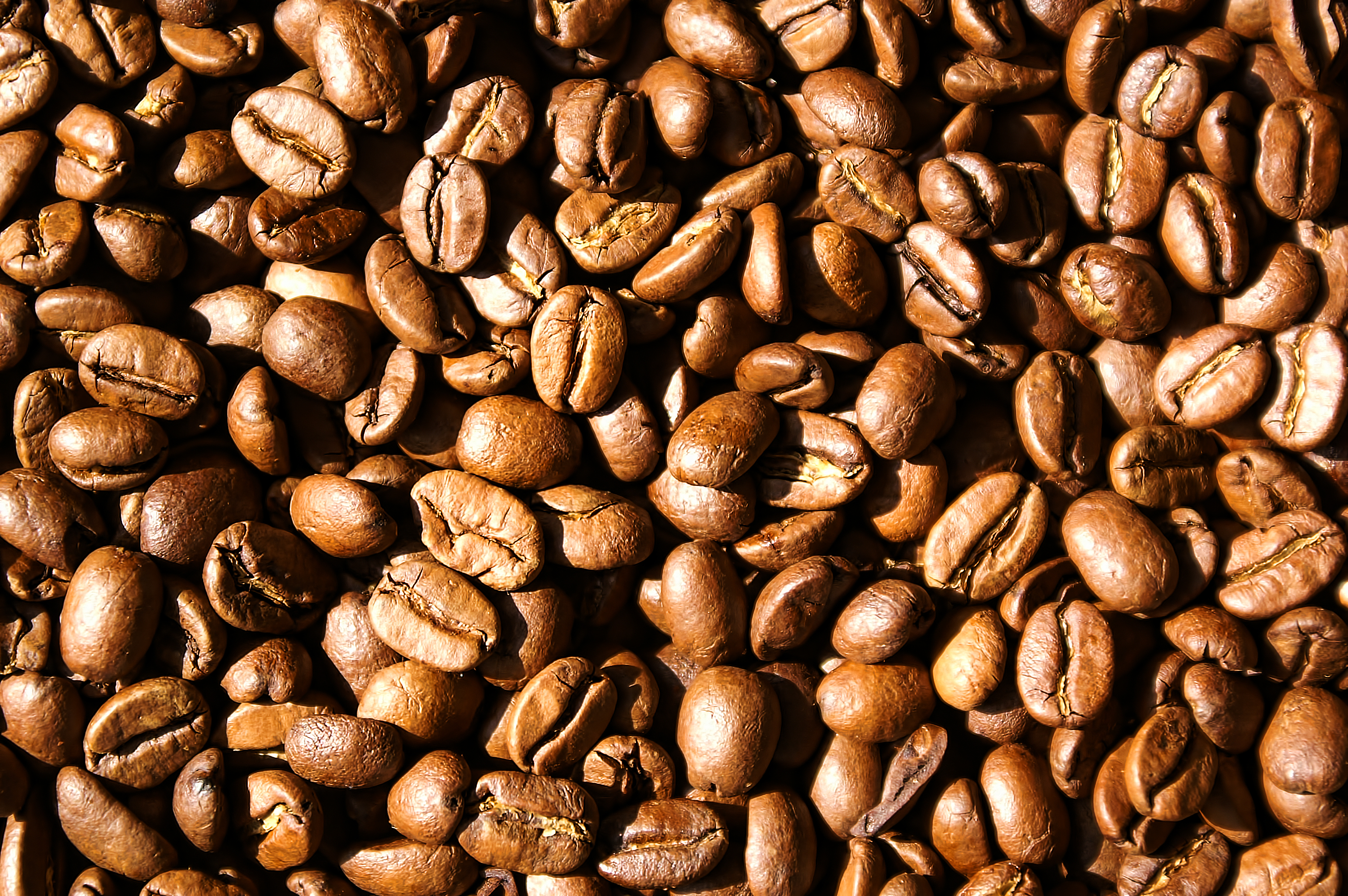 Coffee Beans, Bean, Beans, Coffee, Coffee images, HQ Photo