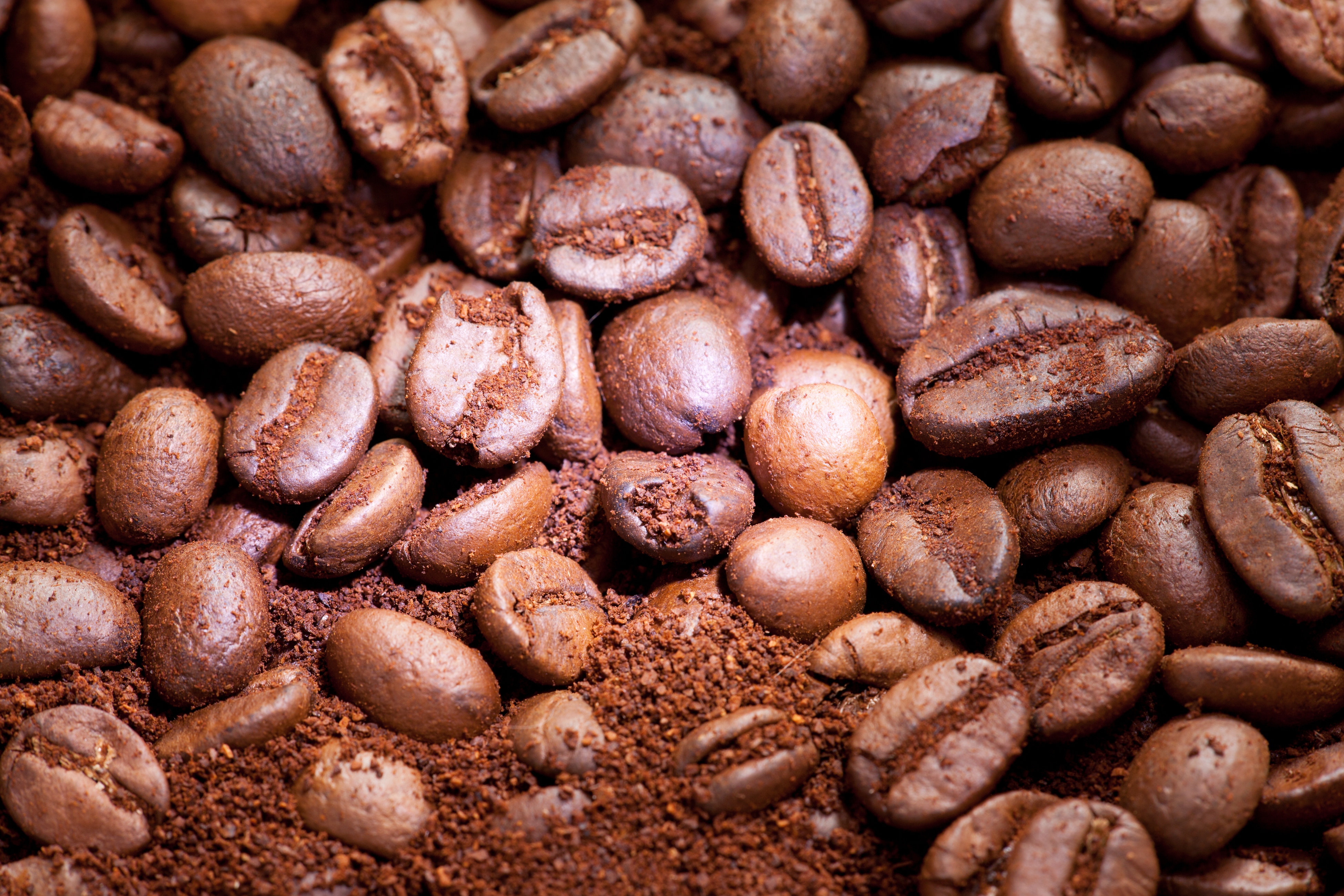 Coffee grains photo