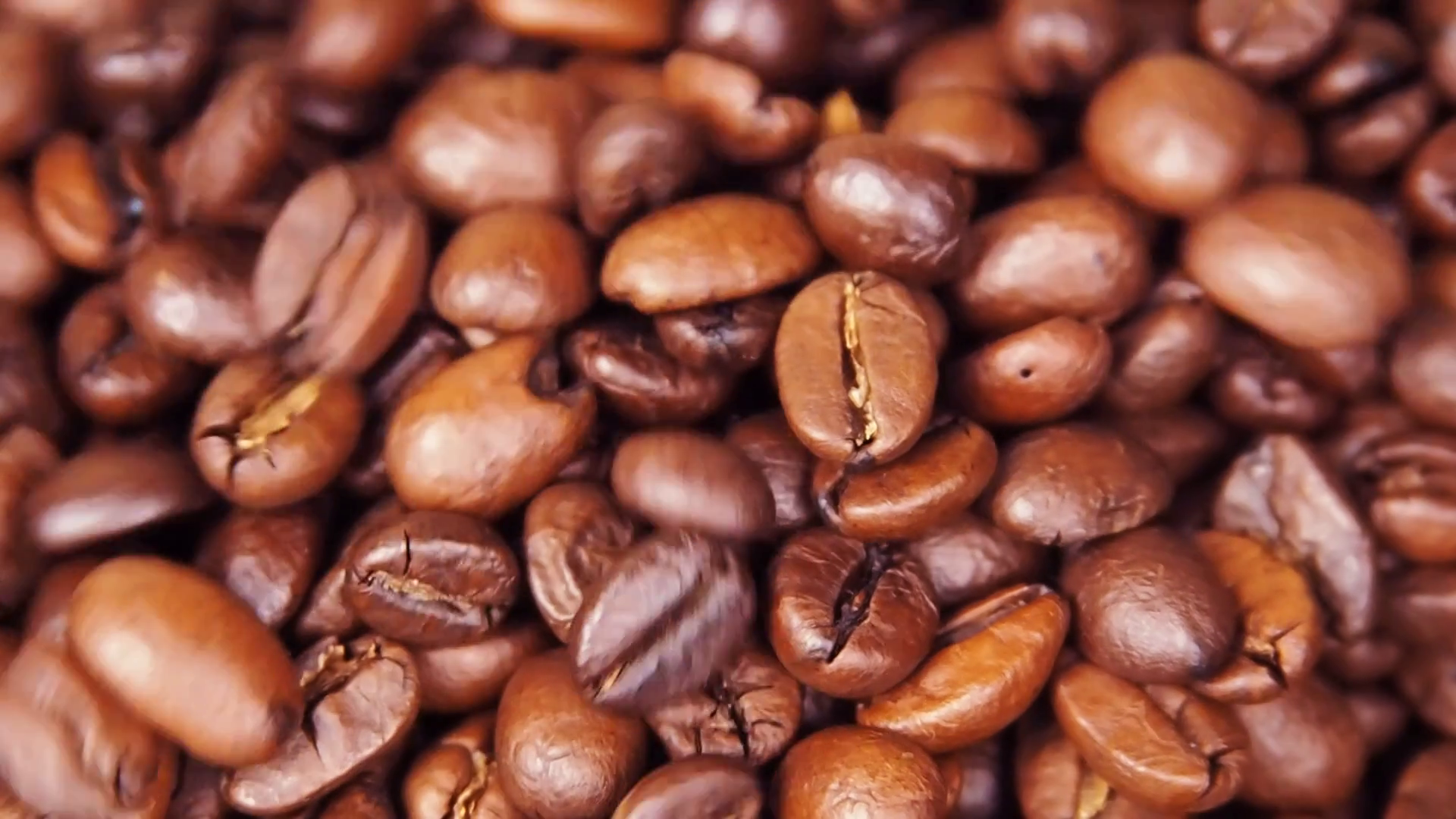 Coffee beans are strewed close up. Grains are poured Stock Video ...