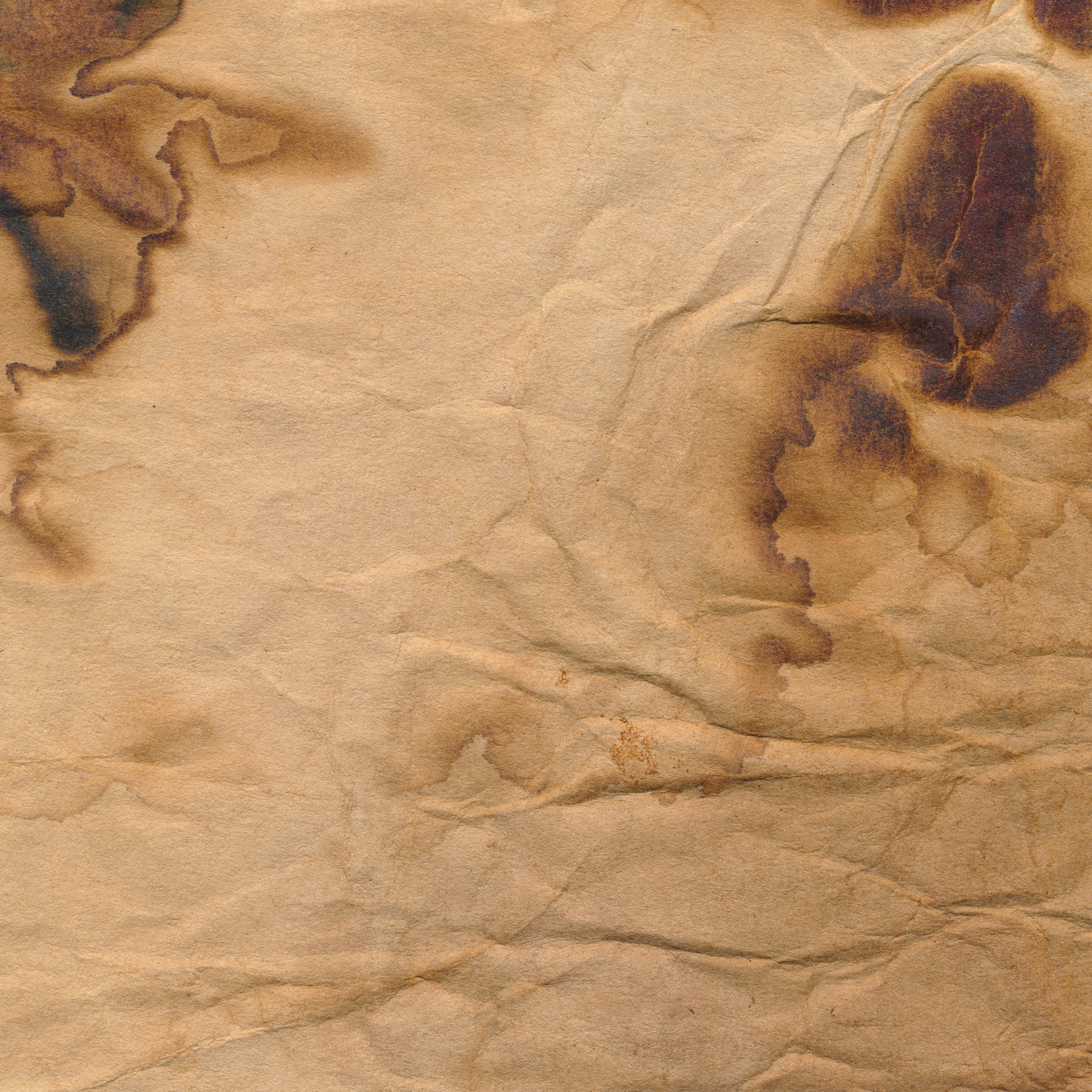 Coffee stained paper texture photo