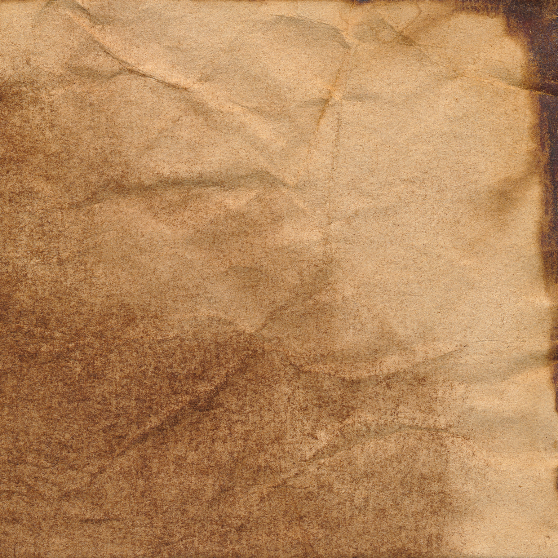 Coffee stained paper texture photo