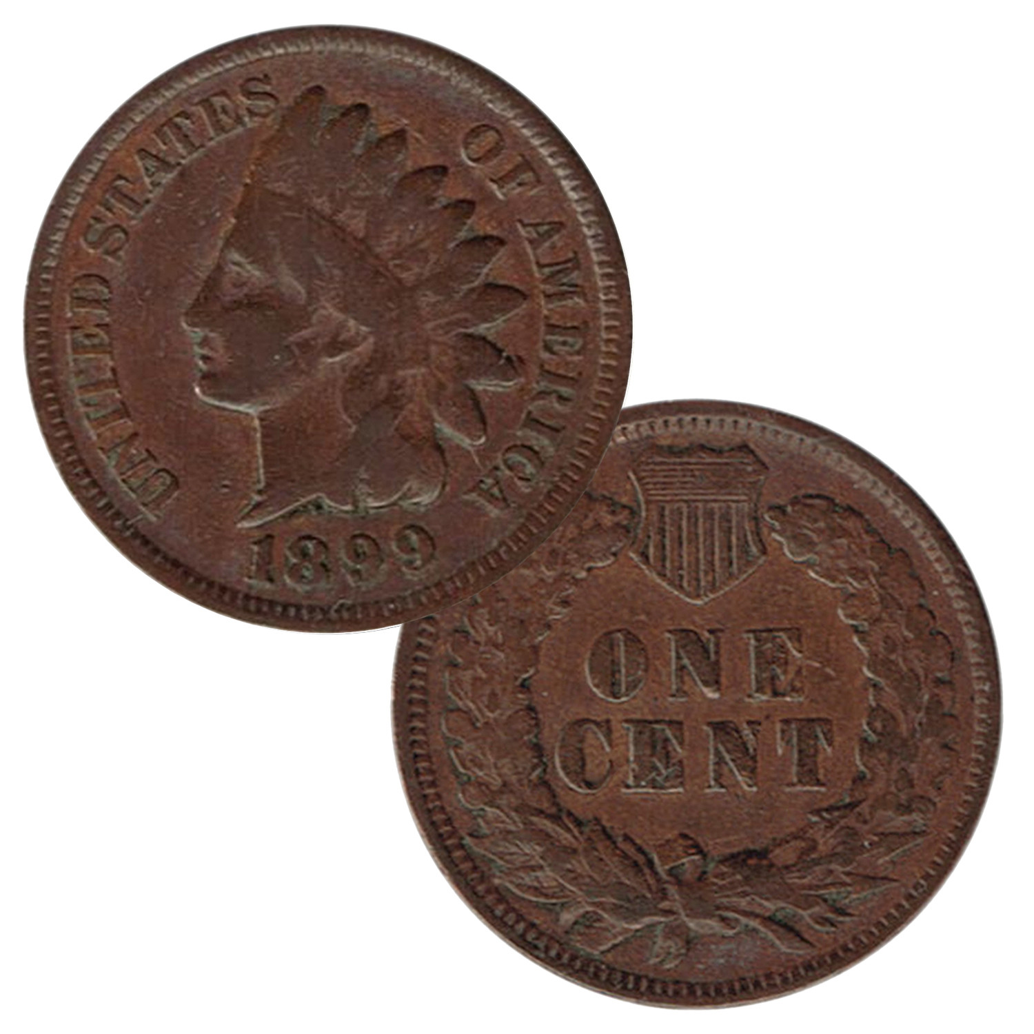 Cull Indian Head Cents - All coins will be minted between 1859-1909.
