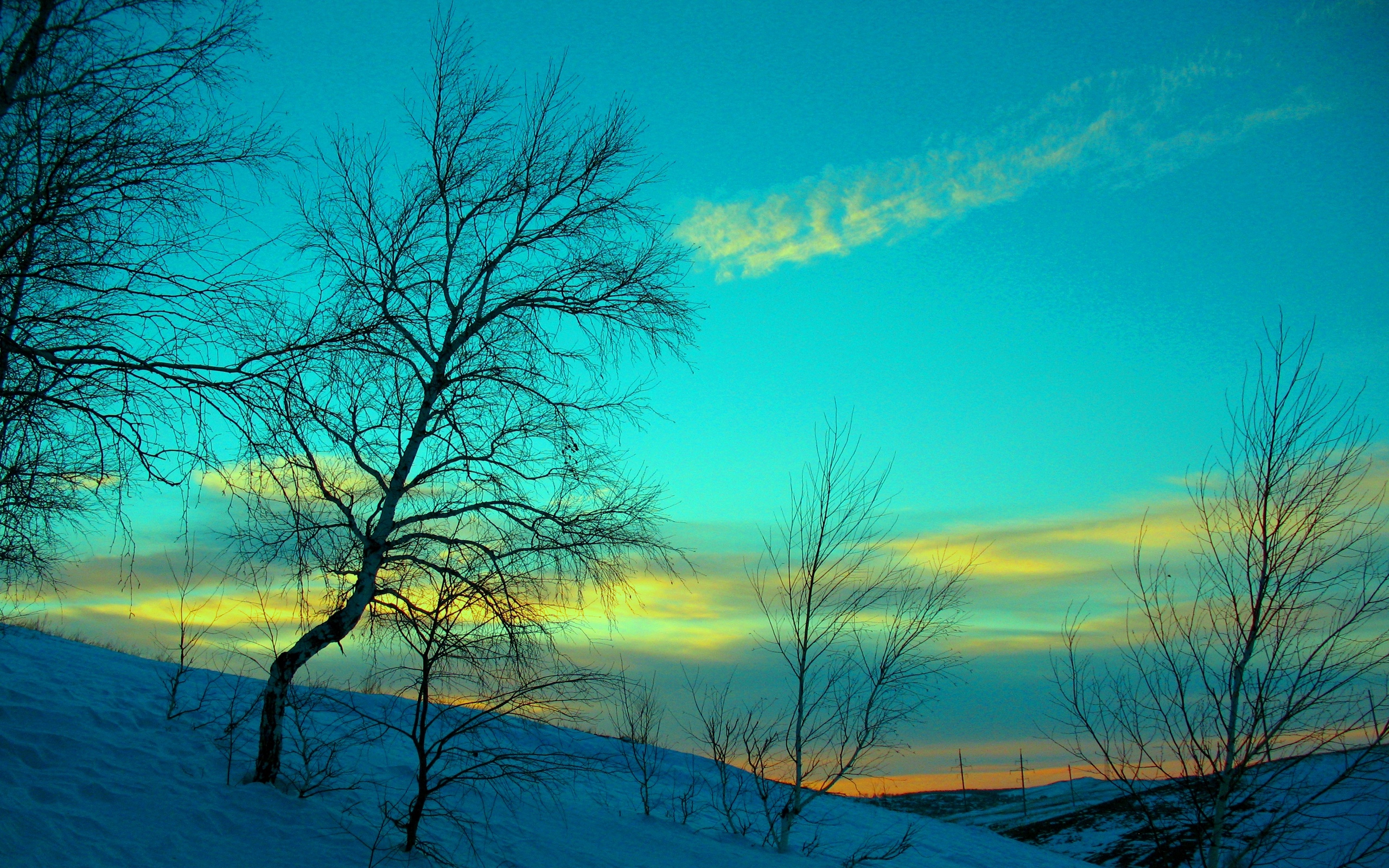 Download wallpaper 2560x1600 march, winter, snow, frost, nature ...