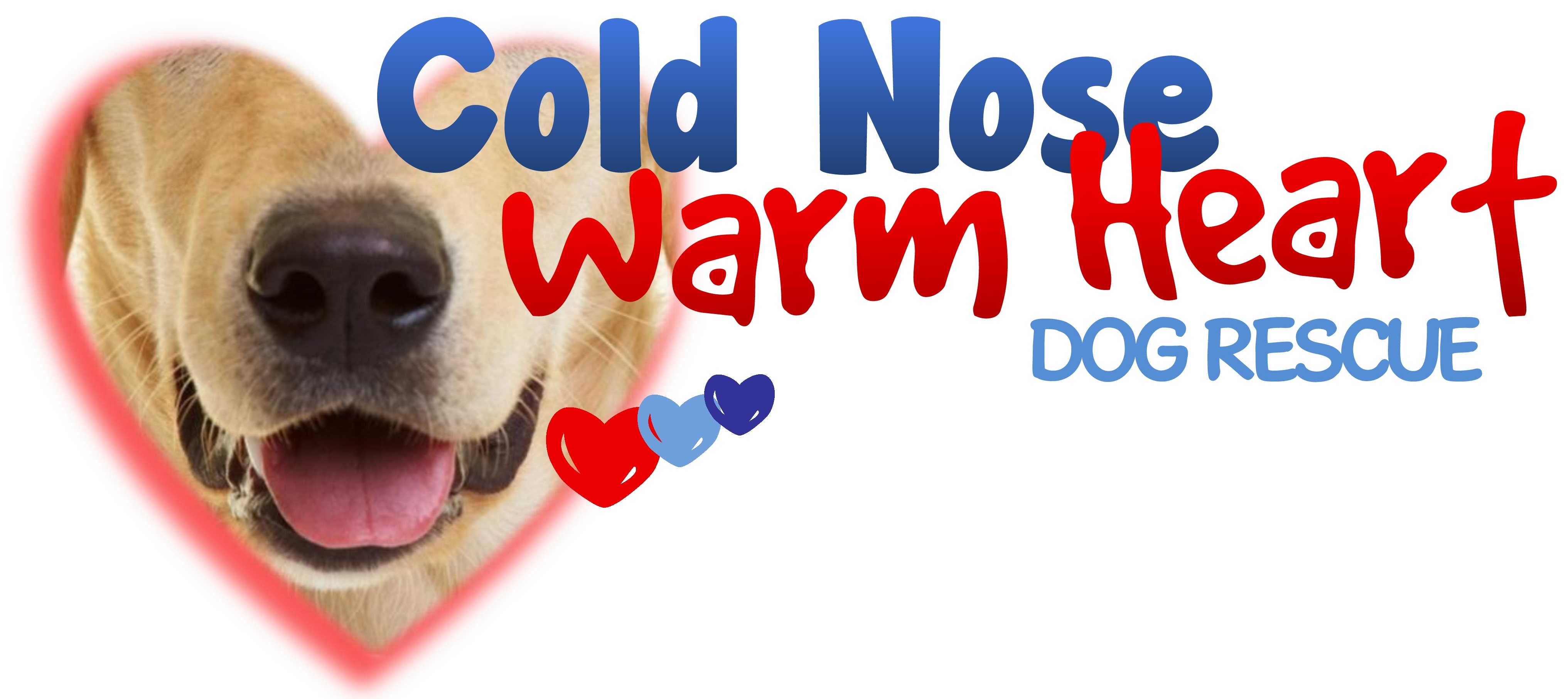 Pets for Adoption at Cold Nose Warm Heart Dog Rescue, in Succasunna ...