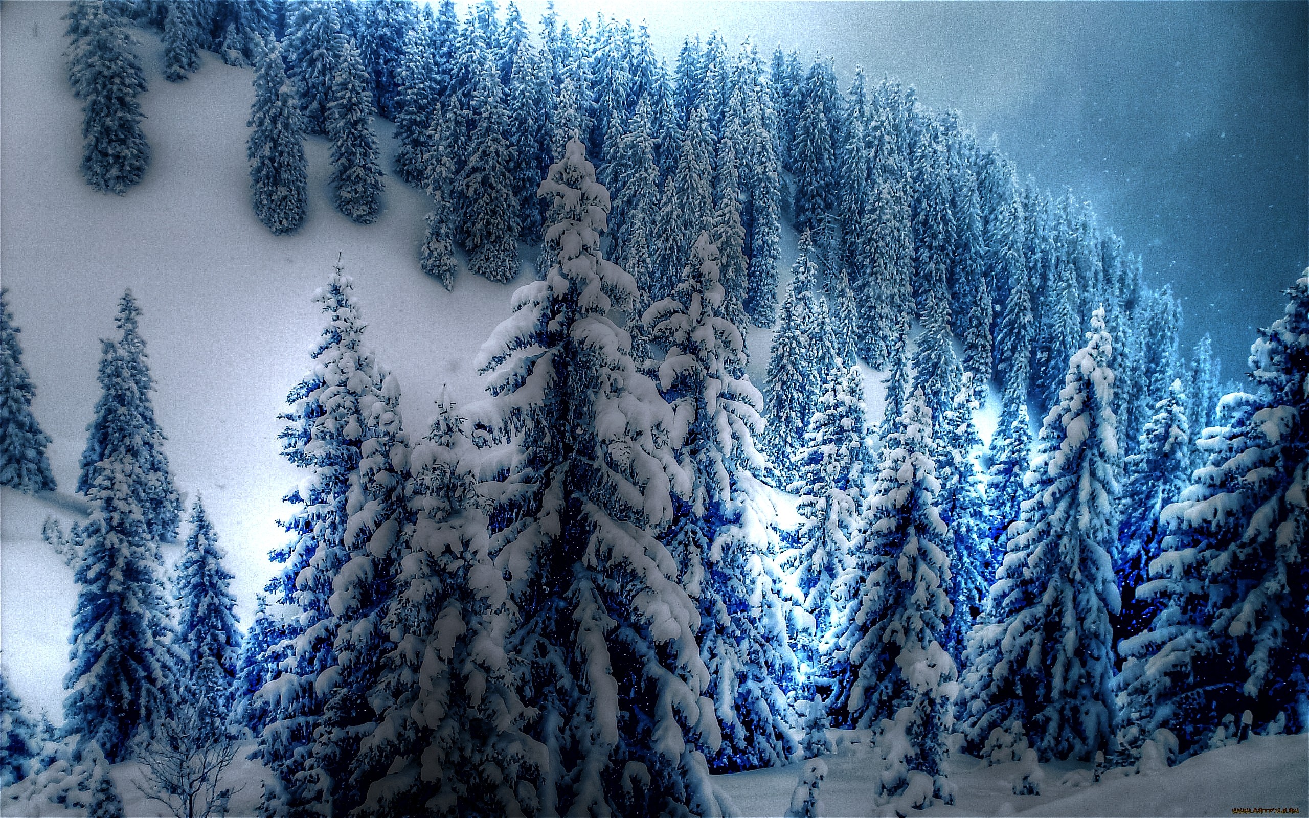 Winter: Big White Blanket Fresh Blue Cold Pine Trees Beautiful Snow ...