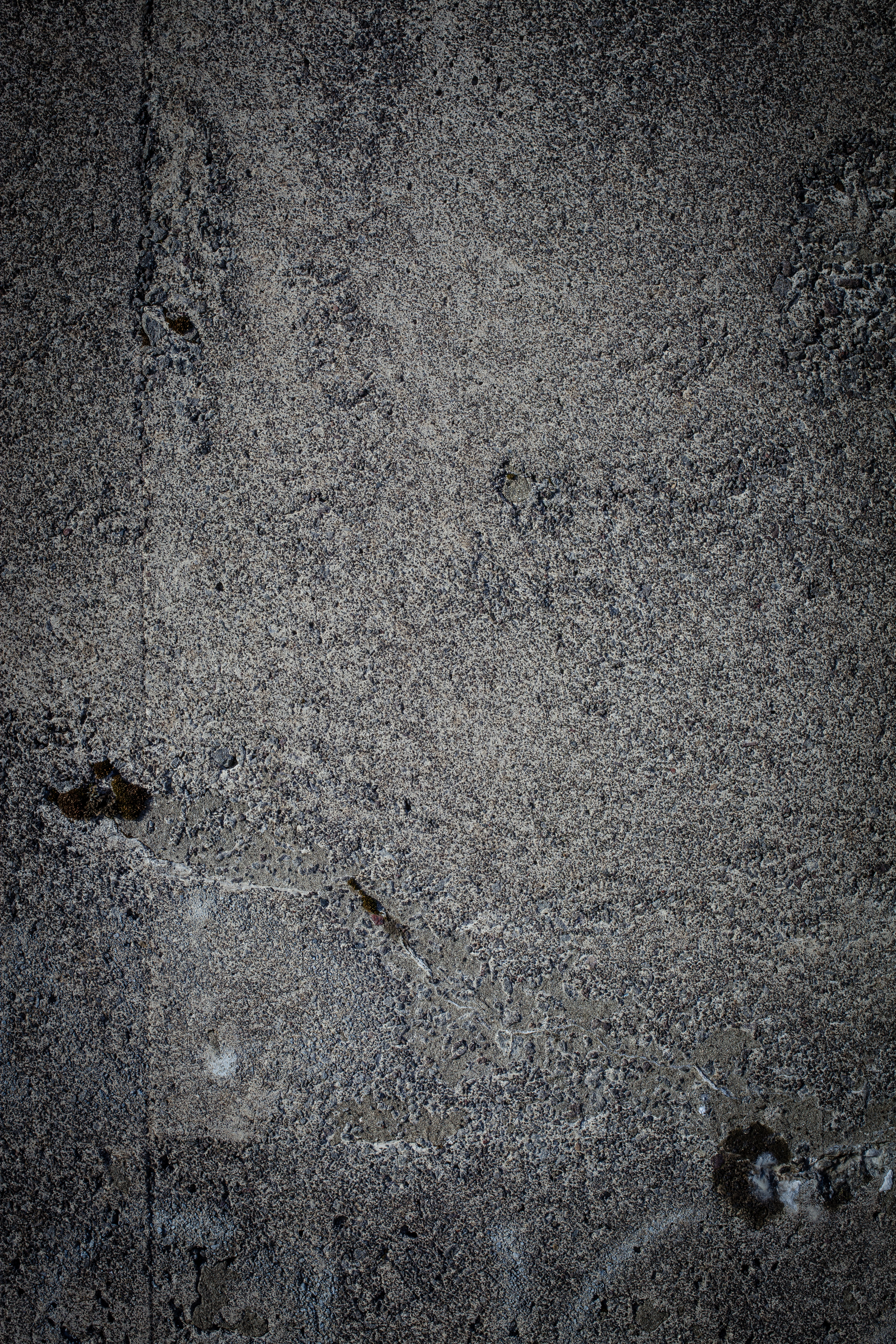 Cold plain concrete texture photo