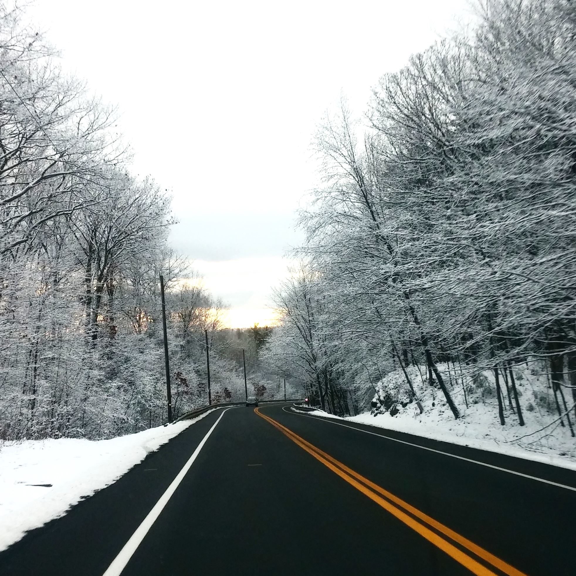 Free picture: asphalt, cold, road, drive, frost, ice, landscape, tree