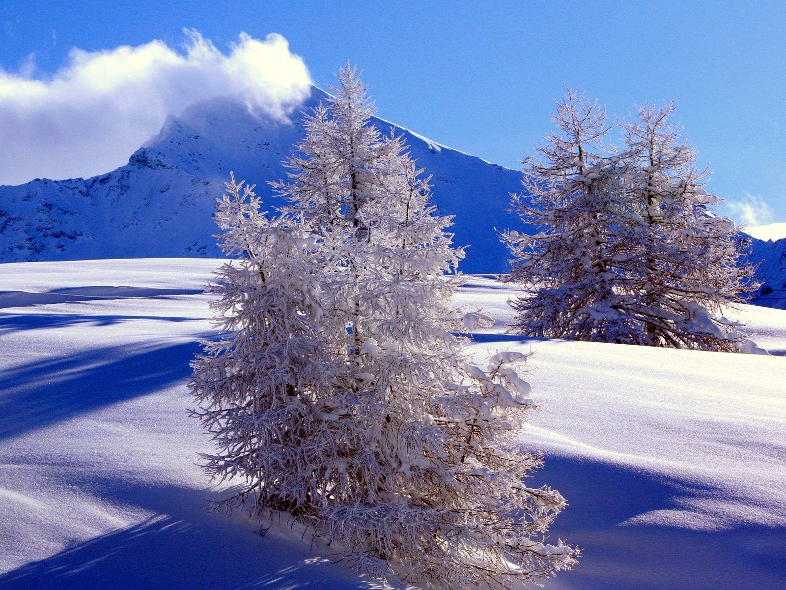 Winter: Cold Winter Day Snow Ice Landscape Trees Mountain Best ...