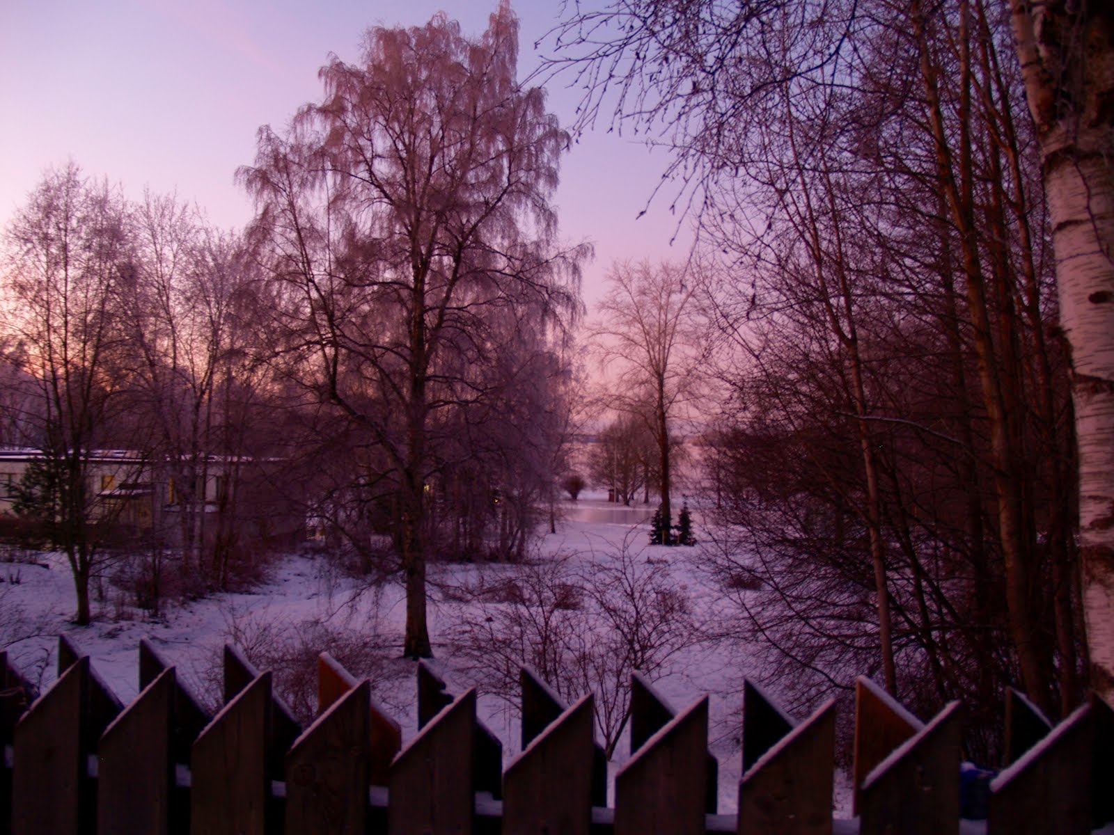 Winter: Good morning, now it is cold! | My Beautiful, Ordinary Life ...