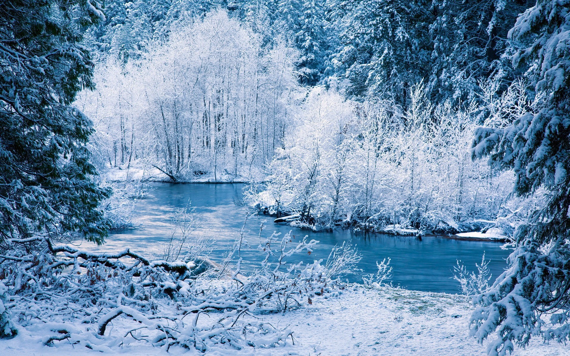 Amazing blue and white frozen nature - Cold winter season