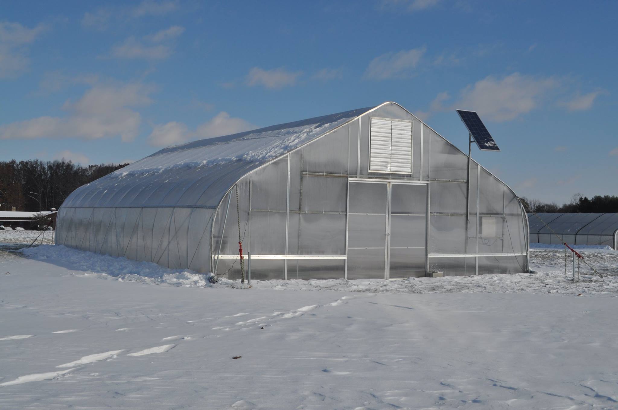 5 Steps to Grow Through The Cold In A Winter Greenhouse | Rimol ...